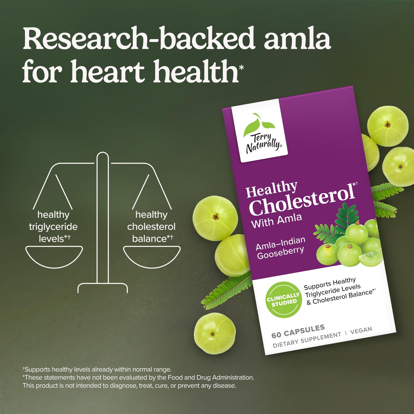 Terry Naturally Healthy Cholesterol with Amla - Heart Health Capsules, 60 Count