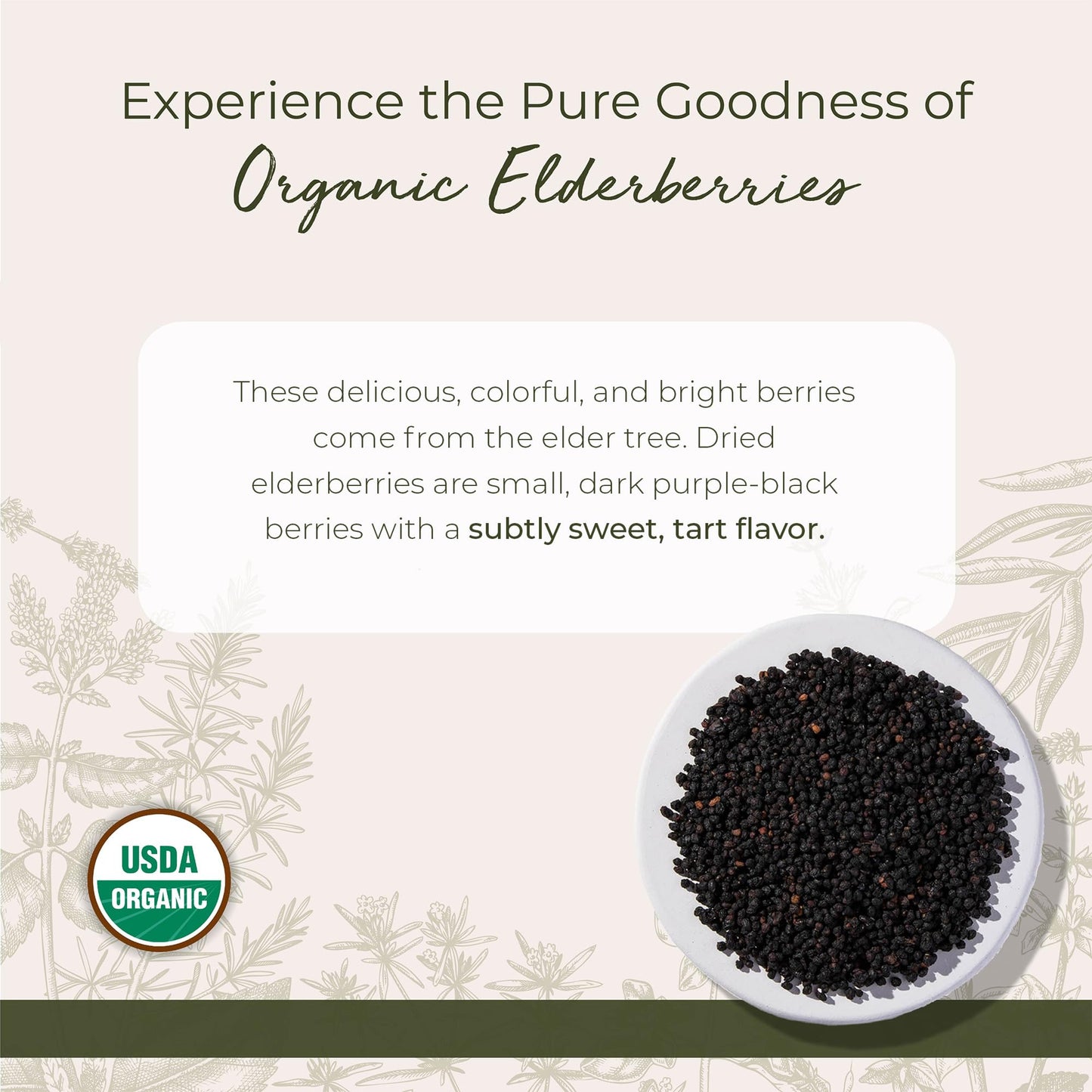 Starwest Botanicals Organic Elderberries Caplets, 32 Count