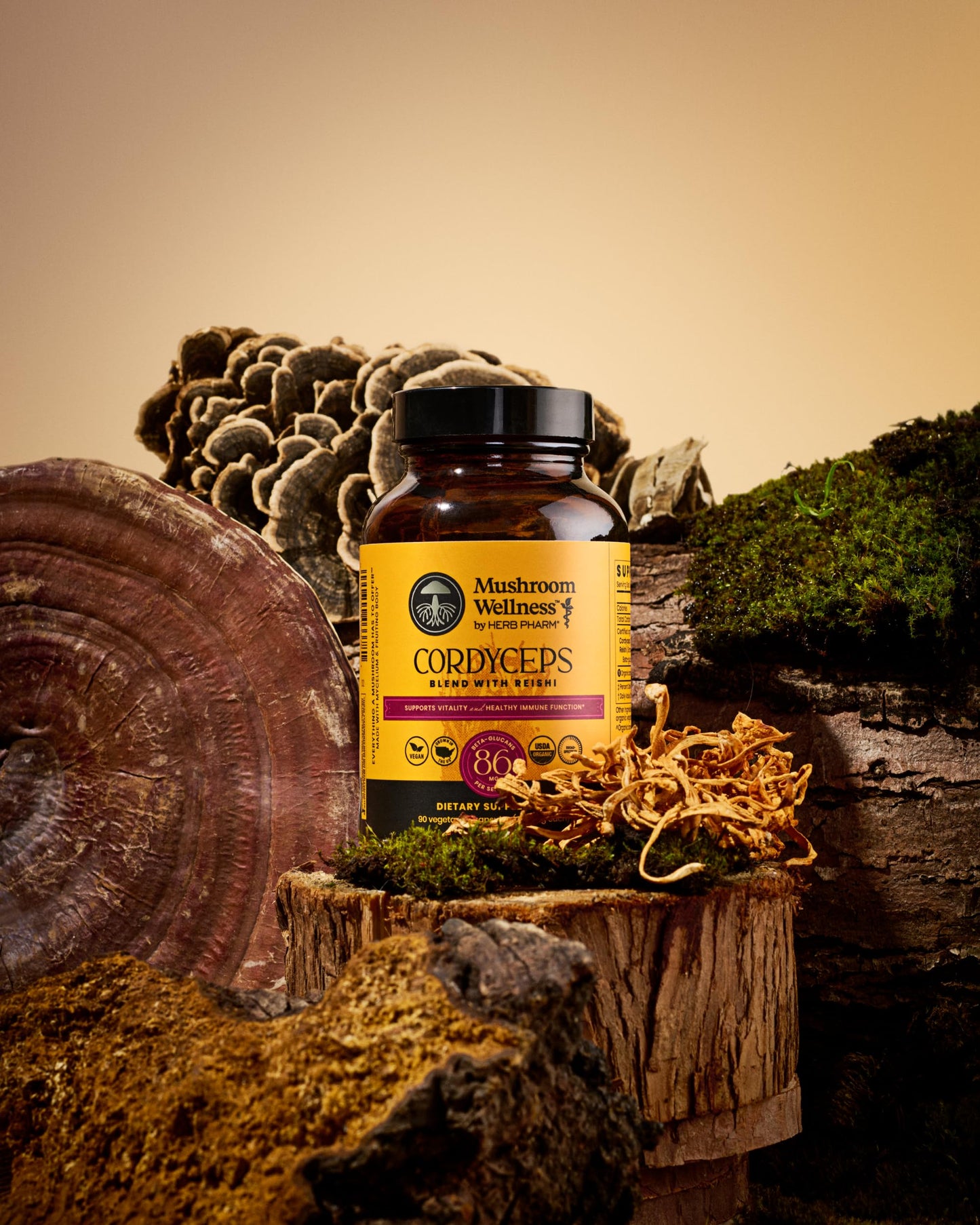 Herb Pharm Mushroom Wellness Cordyceps Blend with Reishi Capsules 90 Capsules