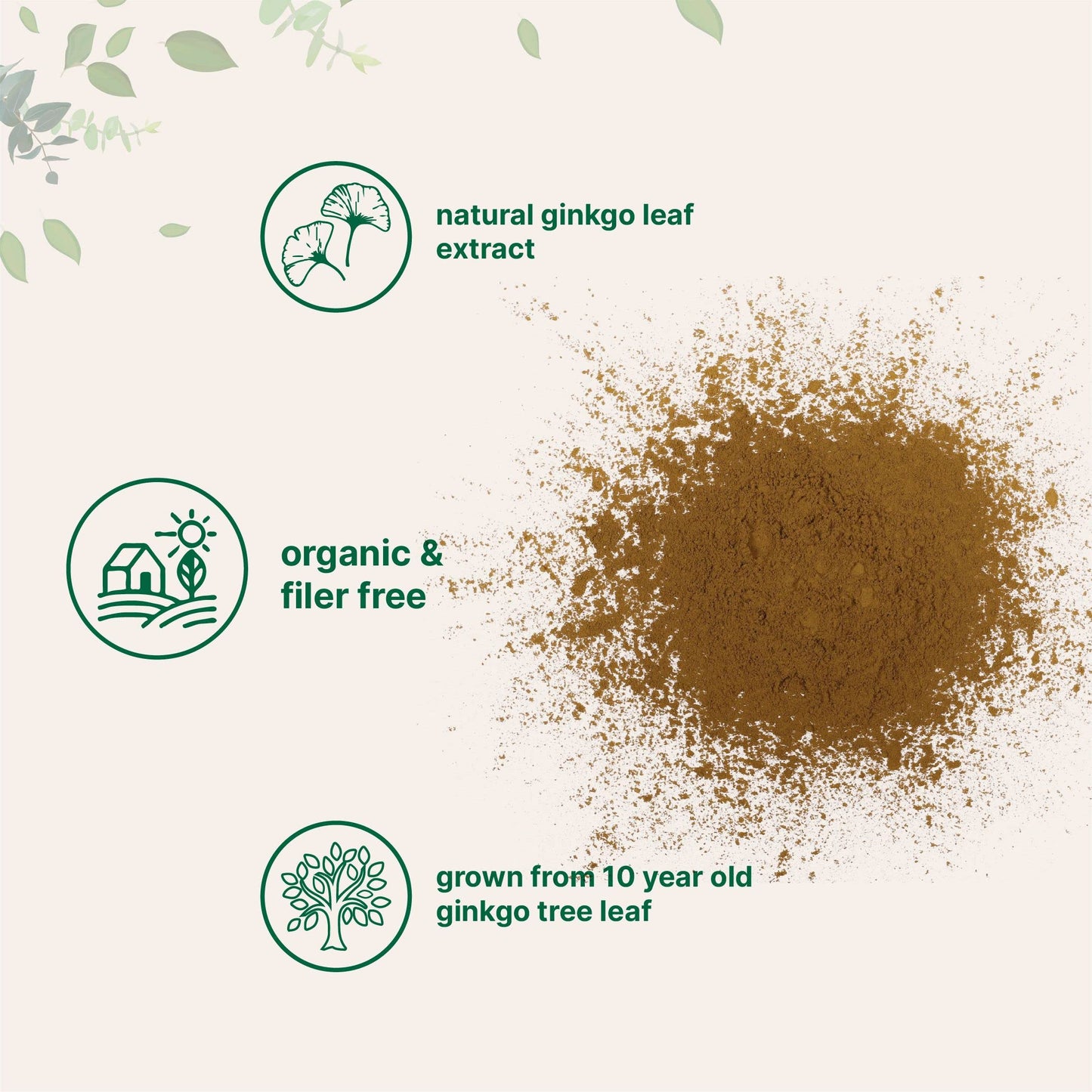Micro Ingredients Organic Ginkgo Biloba Extract Powder, 8 oz