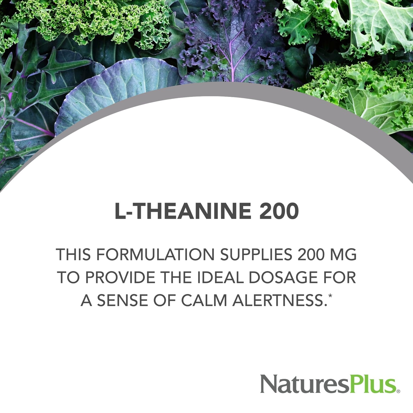 NaturesPlus PRO L-Theanine 60 Capsules
