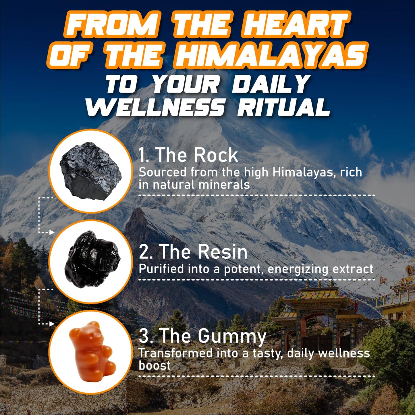 Novure Himalayan Shilajit Gummies 60 Count