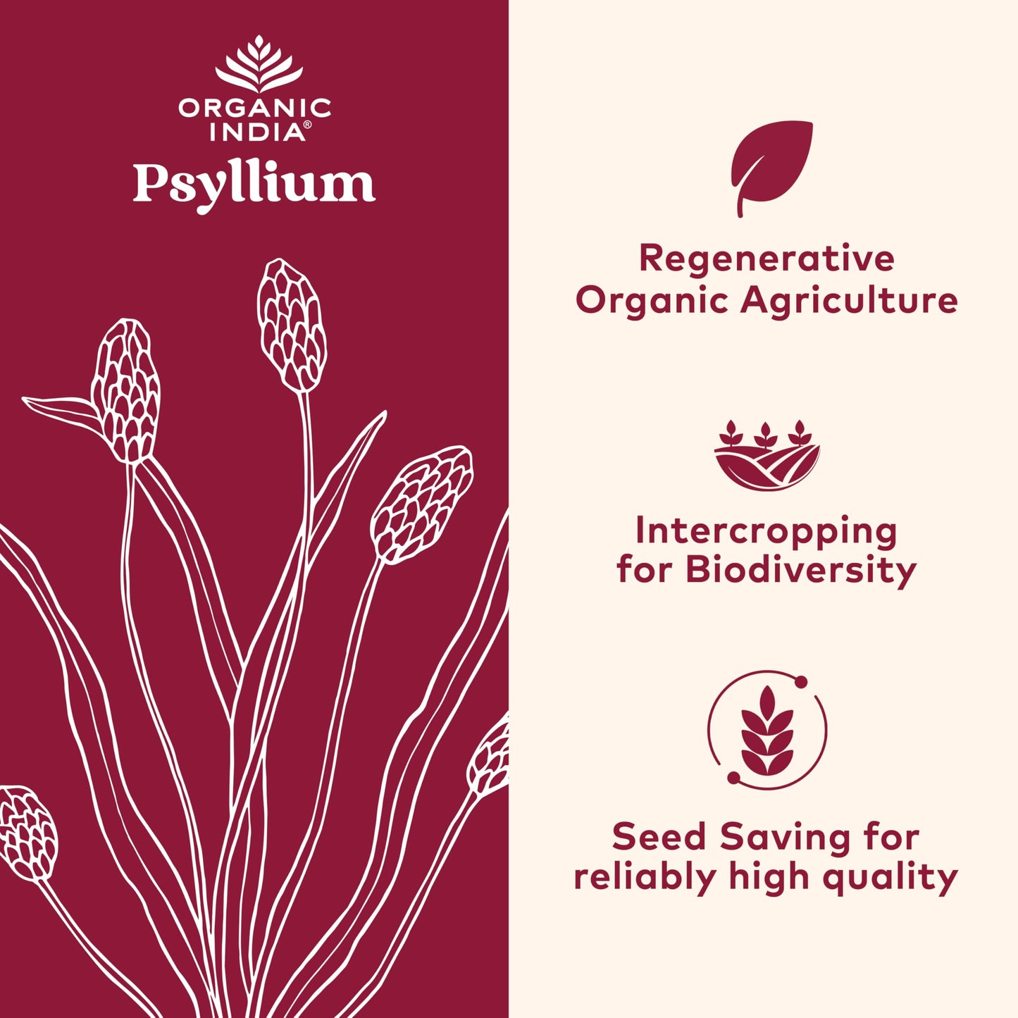 ORGANIC INDIA Psyllium Powder Organic - Fine Grain Psyllium Supplement, Digestion Support, 12 oz Total