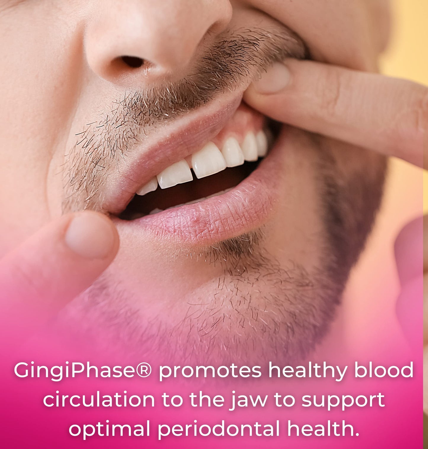 Tango GingiPhase Natural Herbal Dental Support Supplement for Healthy Gums, Teeth, and Jaw Circulation, 120 Capsules