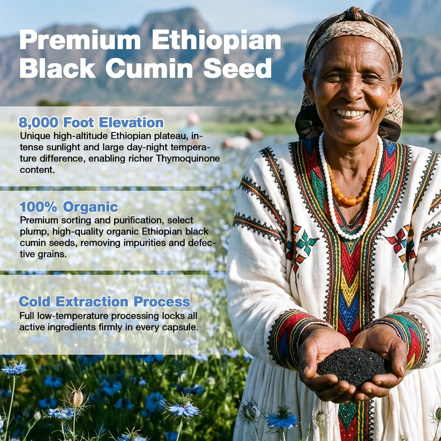 ASISTNETY Ethiopian Black Seed Oil with 4.64% Thymoquinone Capsule 90 Count