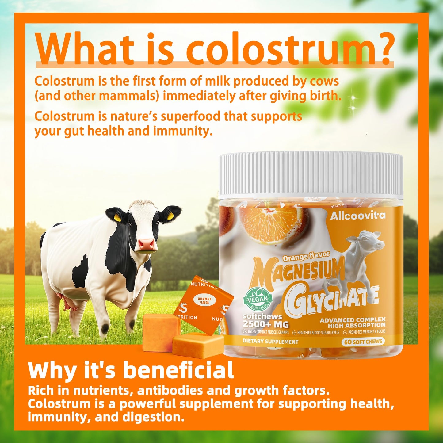 Allcoovita Bovine Colostrum Soft Chews with Probiotics, 60 Count