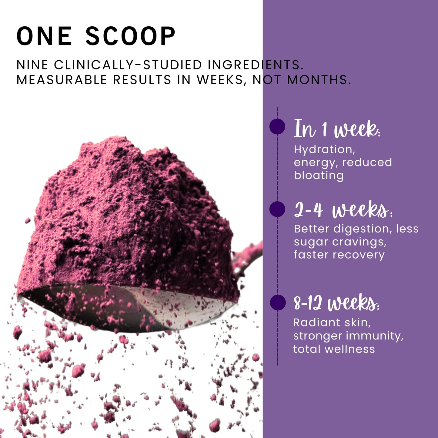 Leverage Mixed Berries Anti–Aging Supplement & Longevity Mix Daily Wellness Multivitamin Powder 9.58 Ounces