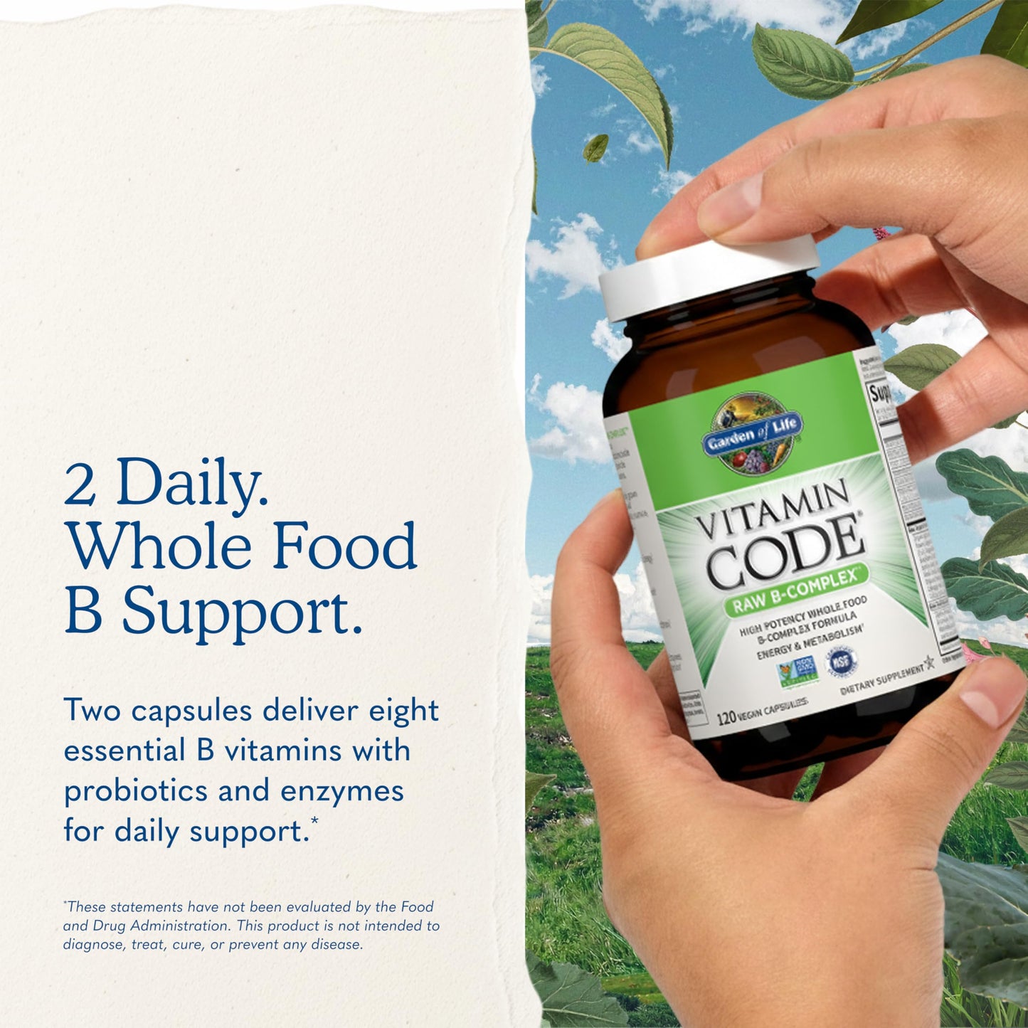 Garden of Life Vitamin B Complex Capsule 120 Count