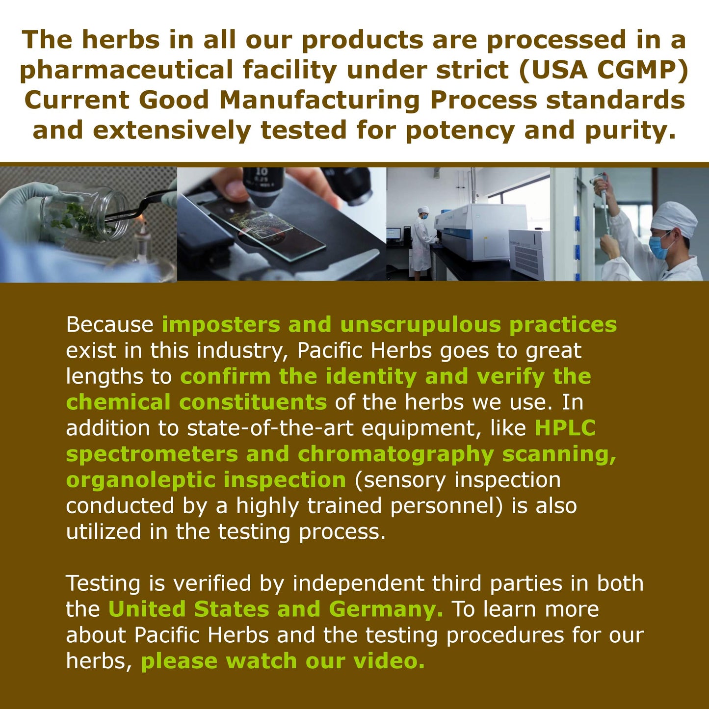 Pacific Herbs Natural Immune Booster Herb Extract Powder 1.75 Ounce