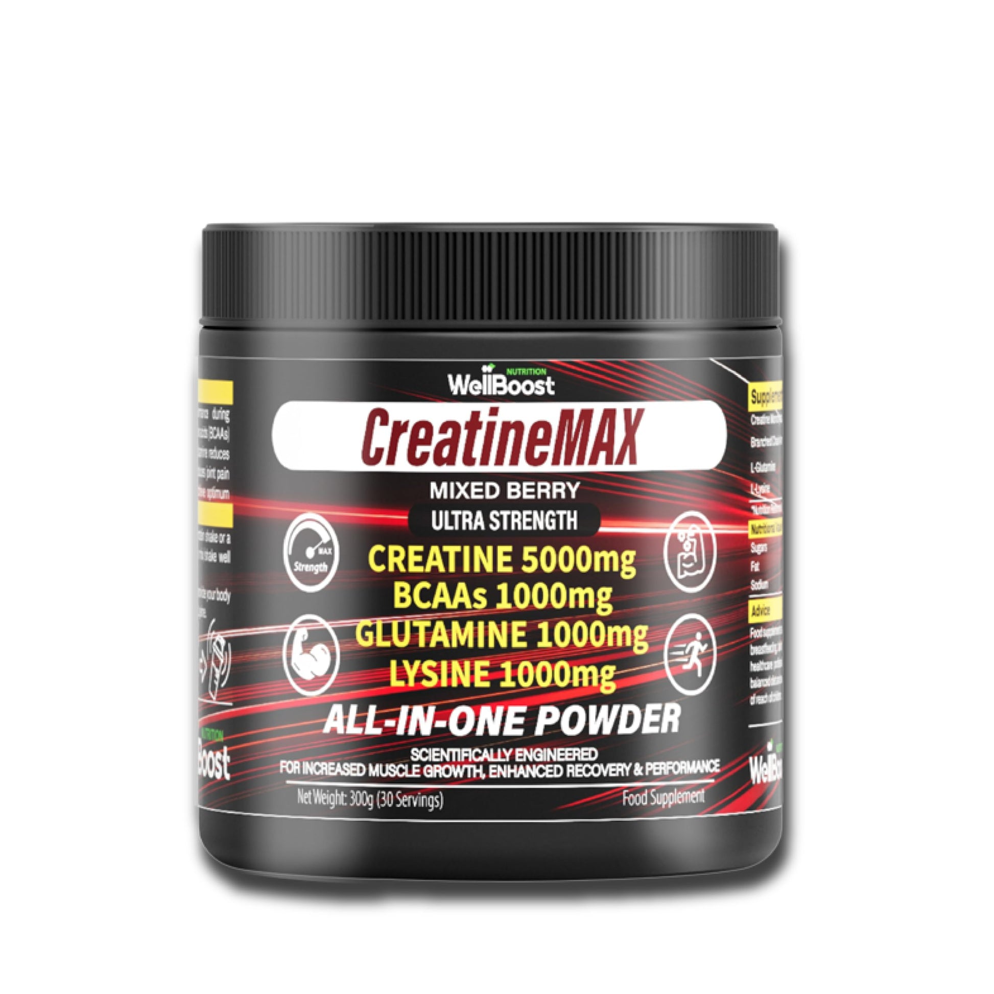 WellBoost CreatineMAX Powder 300g