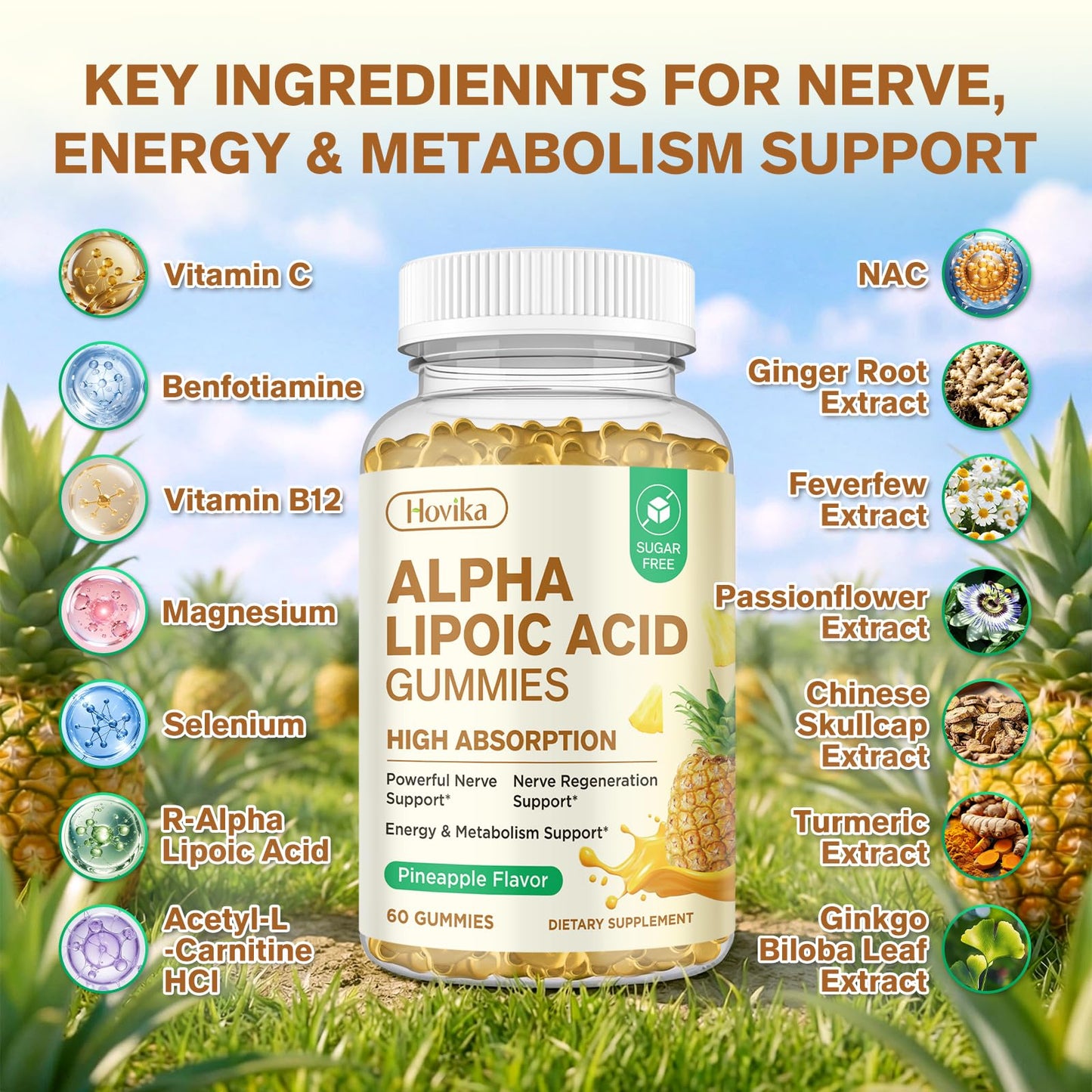 Hovika Alpha Lipoic Acid Gummies 600mg with Benfotiamine, Magnesium, NAC, Vitamin C & B12 for Nerve Support, Antioxidant and Energy & Metabolic, Vegan, Sugar Free, Pineapple Flavor, 60 Gummies