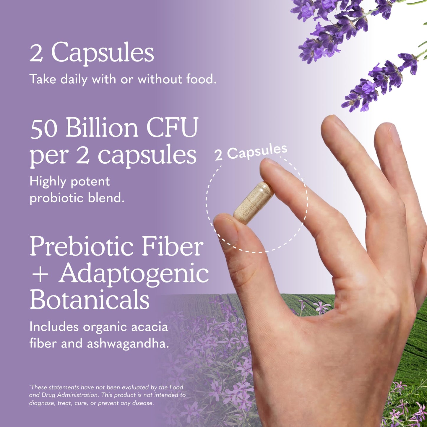 Garden of Life Probiotics Mood+ Dr Formulated Acidophilus Probiotic Supplement Capsules, 60