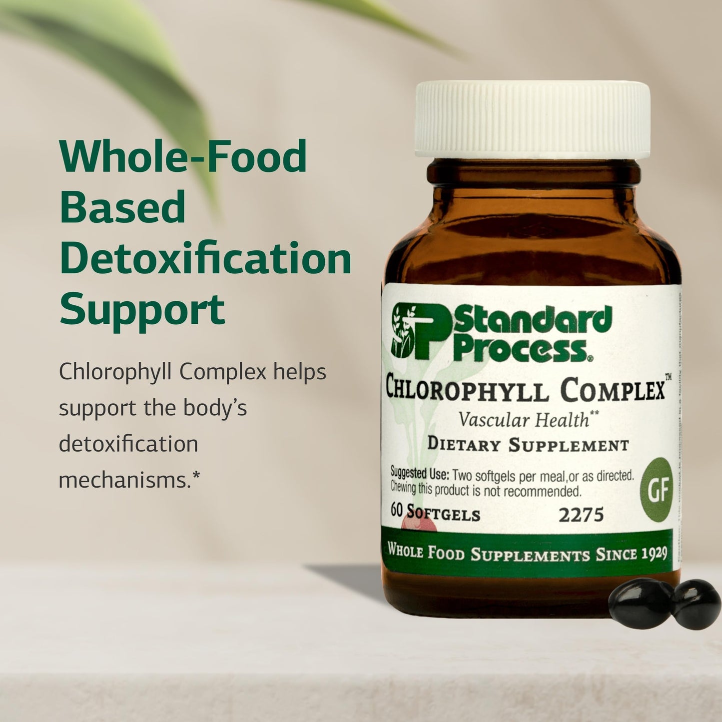 Standard Process Inc. Chlorophyll Complex Softgels 60 Count