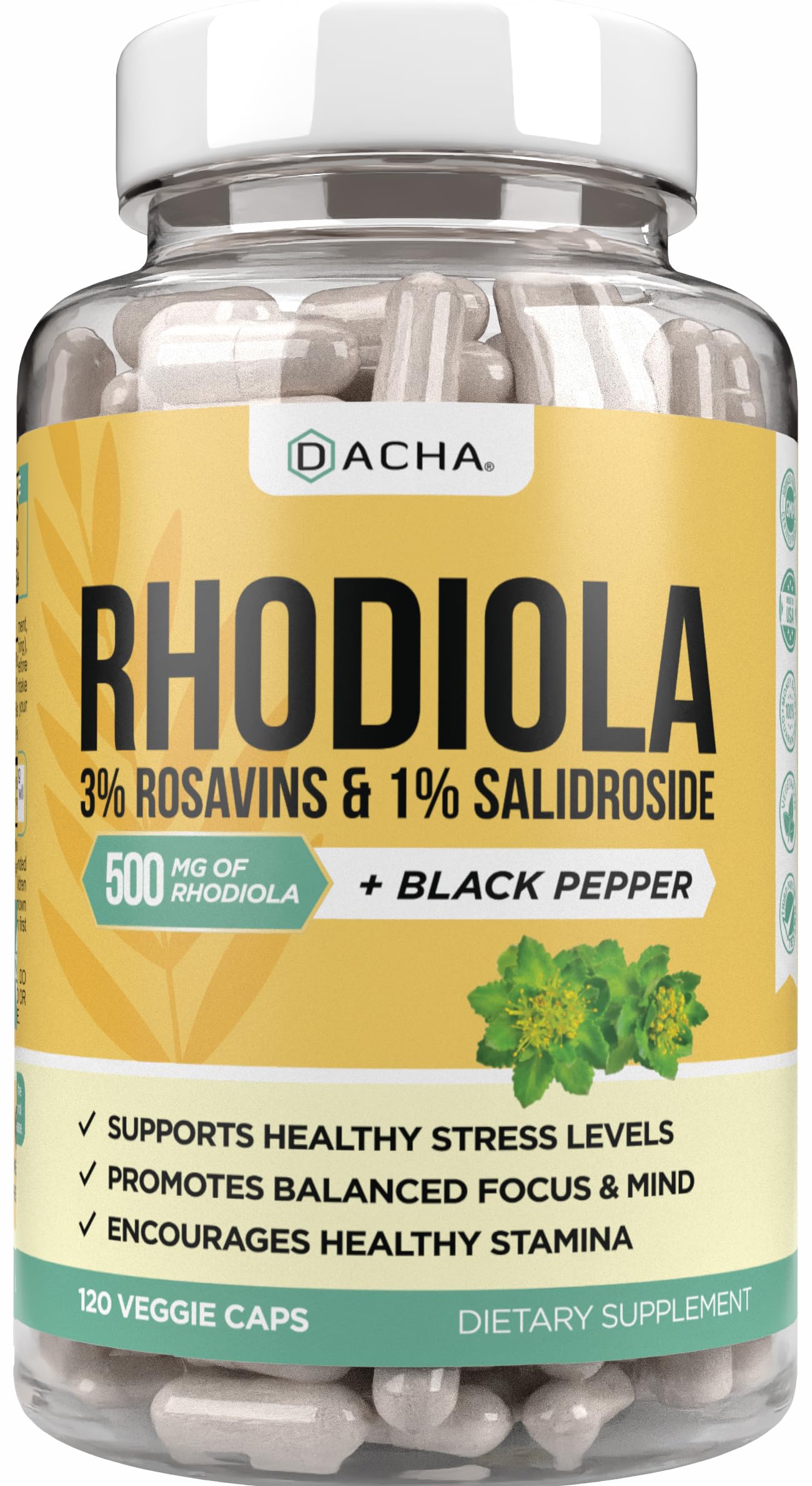 DACHA Rhodiola Rosea Capsule 500mg, 120 Count
