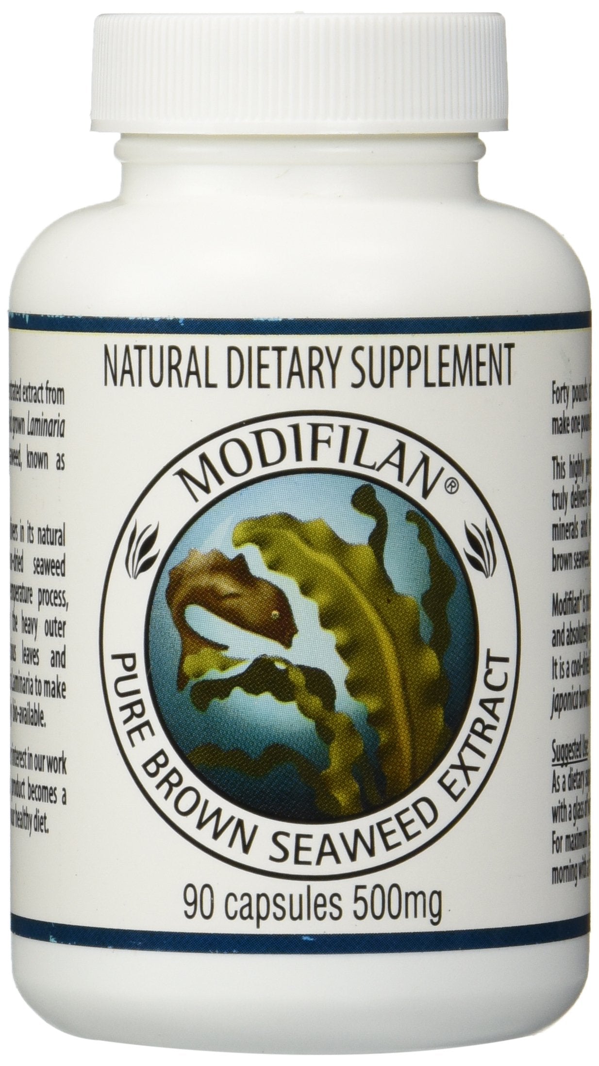 Kebiyu Modifilan Capsules, 540 Capsules