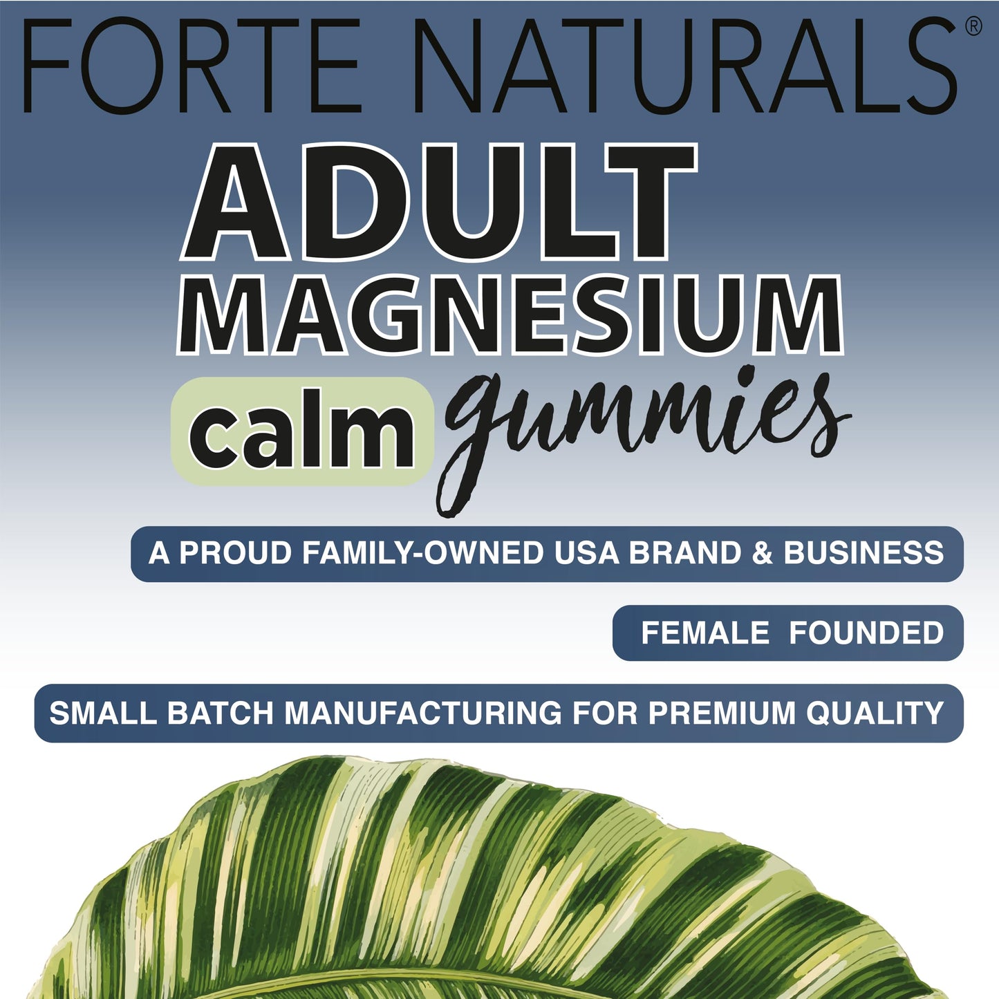 FORTE NATURALS Magnesium Capsules 60 Count