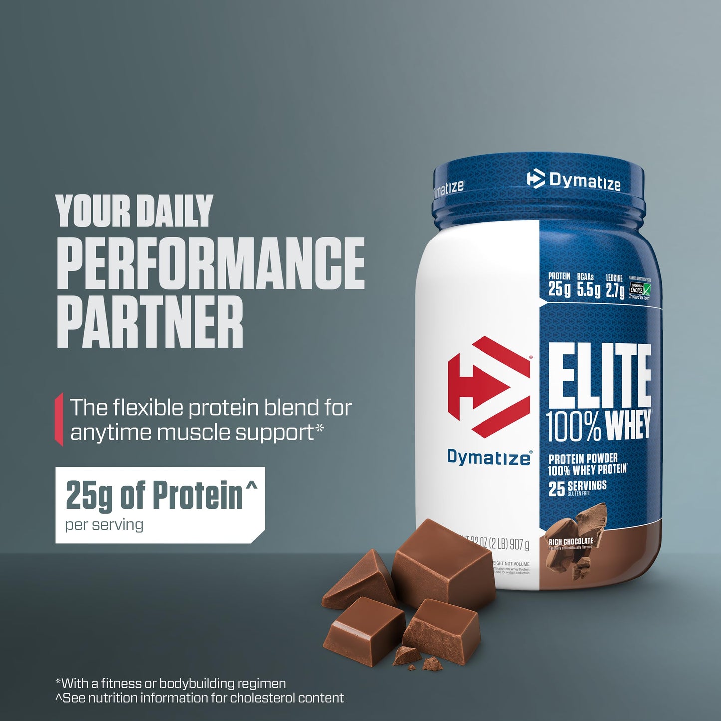 Dymatize Elite 100% Whey Protein Powder Rich Chocolate 2 lb