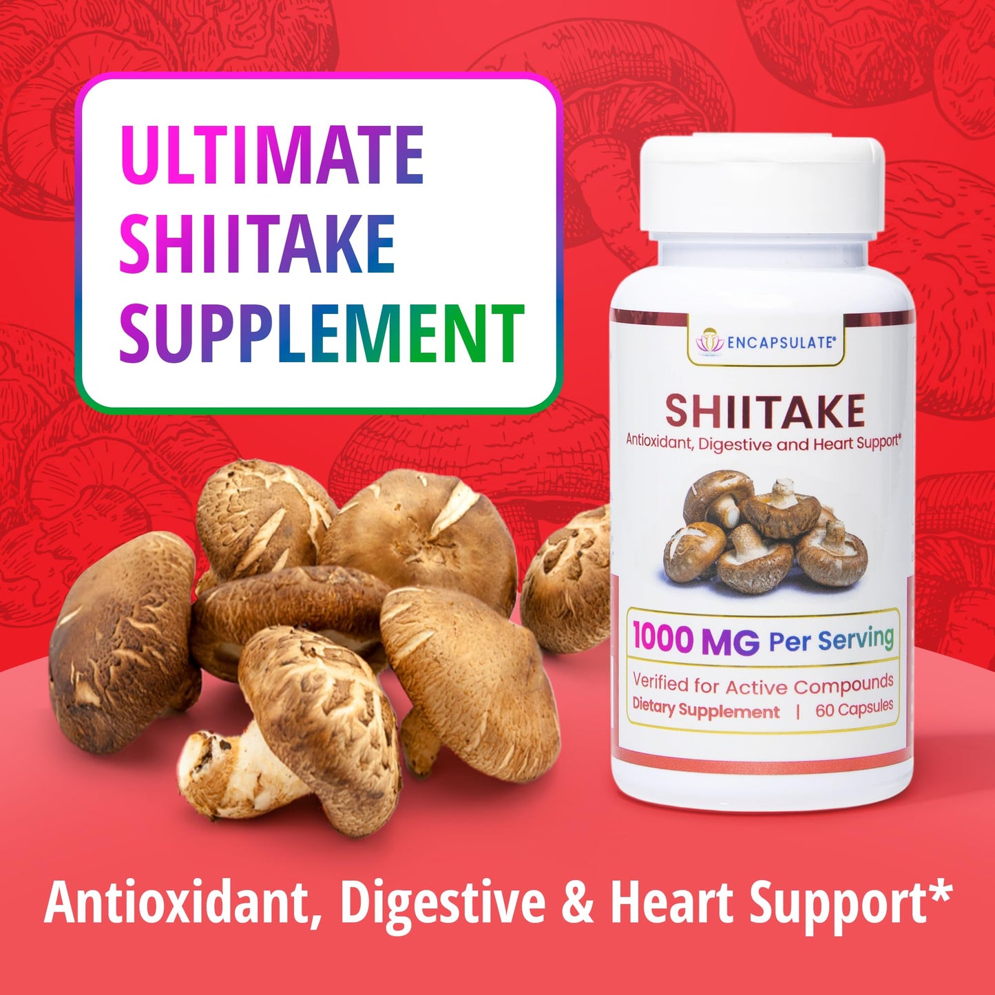 ENCAPSULATE Shiitake Capsule 1000mg – Premium Organic Fruiting Body 1:1 Extract – Adaptogen Mushroom Supplement for Heart Health, Vitality & Immune Support – Lab Tested, Vegan & Non-GMO, 60 Count
