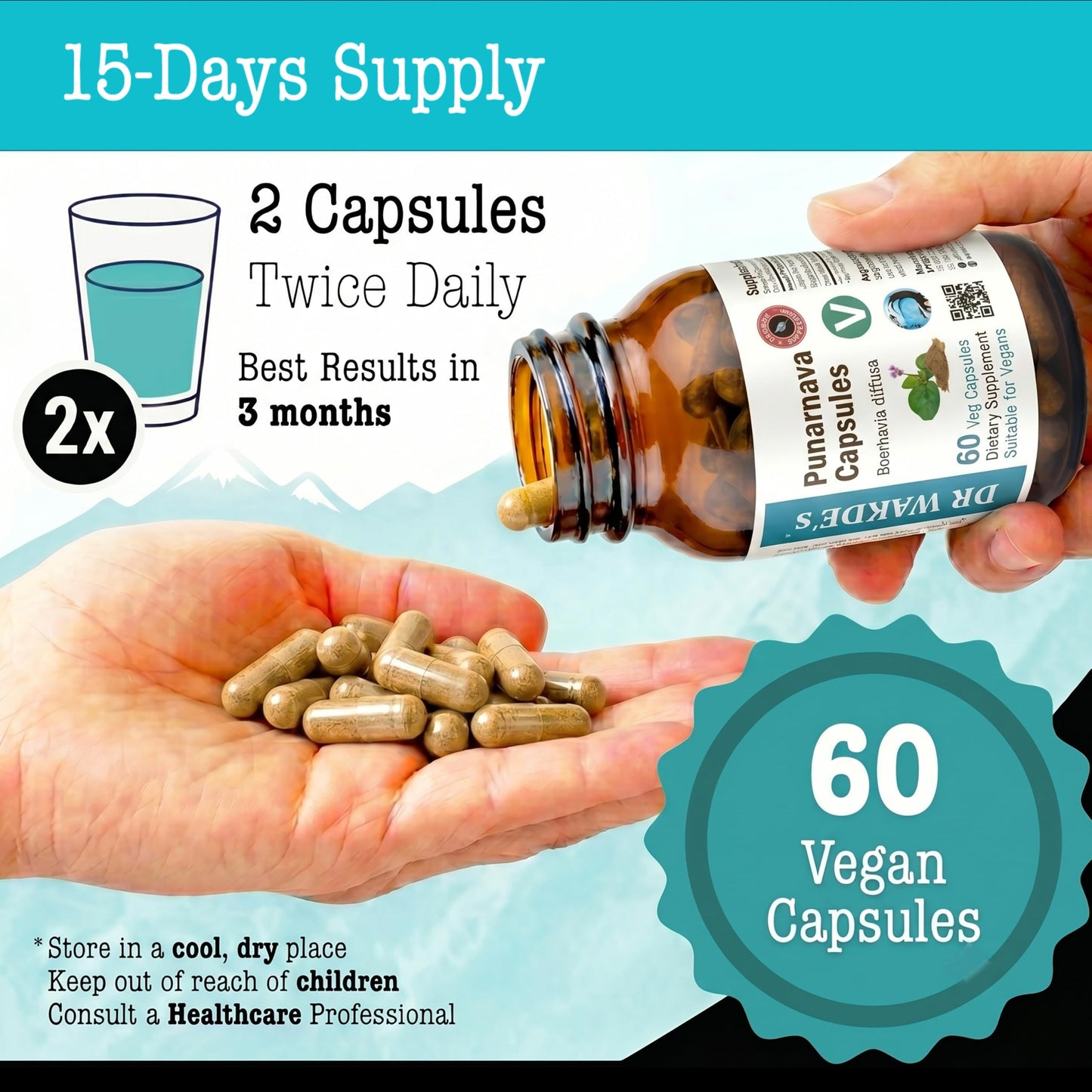 DR WAKDE'S Punarnava Capsules, 1 Count