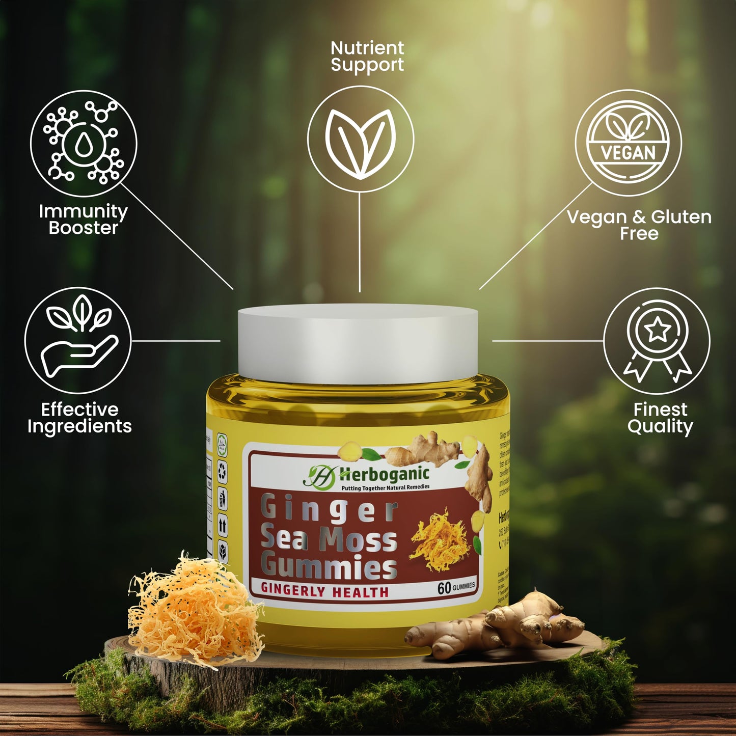 HERBOGANIC Ginger Sea Moss Gummies 60 Count