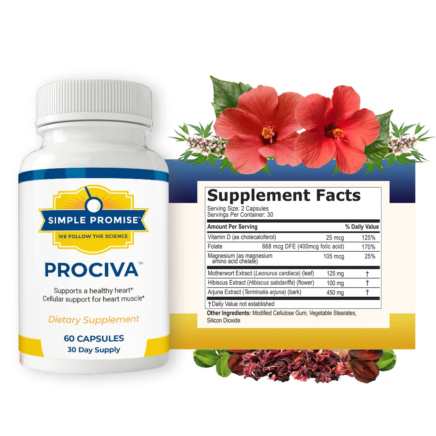 Simple Promise Prociva Arjuna Bark Extract Heart Health Supplement Capsule, 60 Count