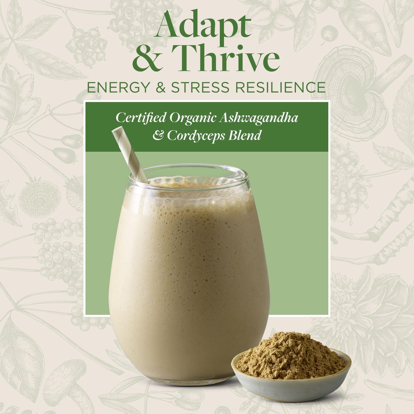 kokora Adapt & Thrive Organic Adaptogenic Mushroom Powder with Ashwagandha and Cordyceps, 4.23 Ounce