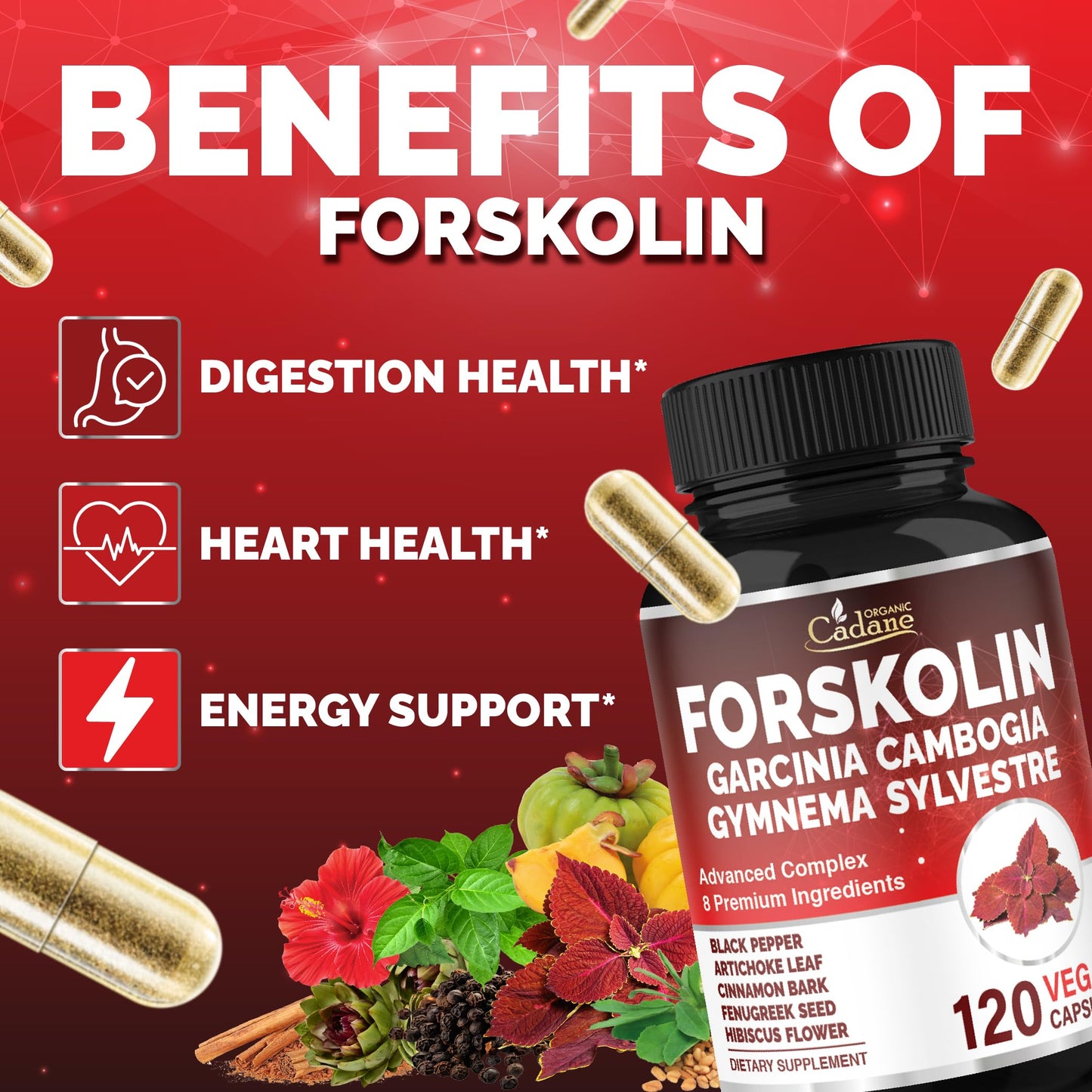 Organic Cadane Forskolin Supplement, 120 Capsules