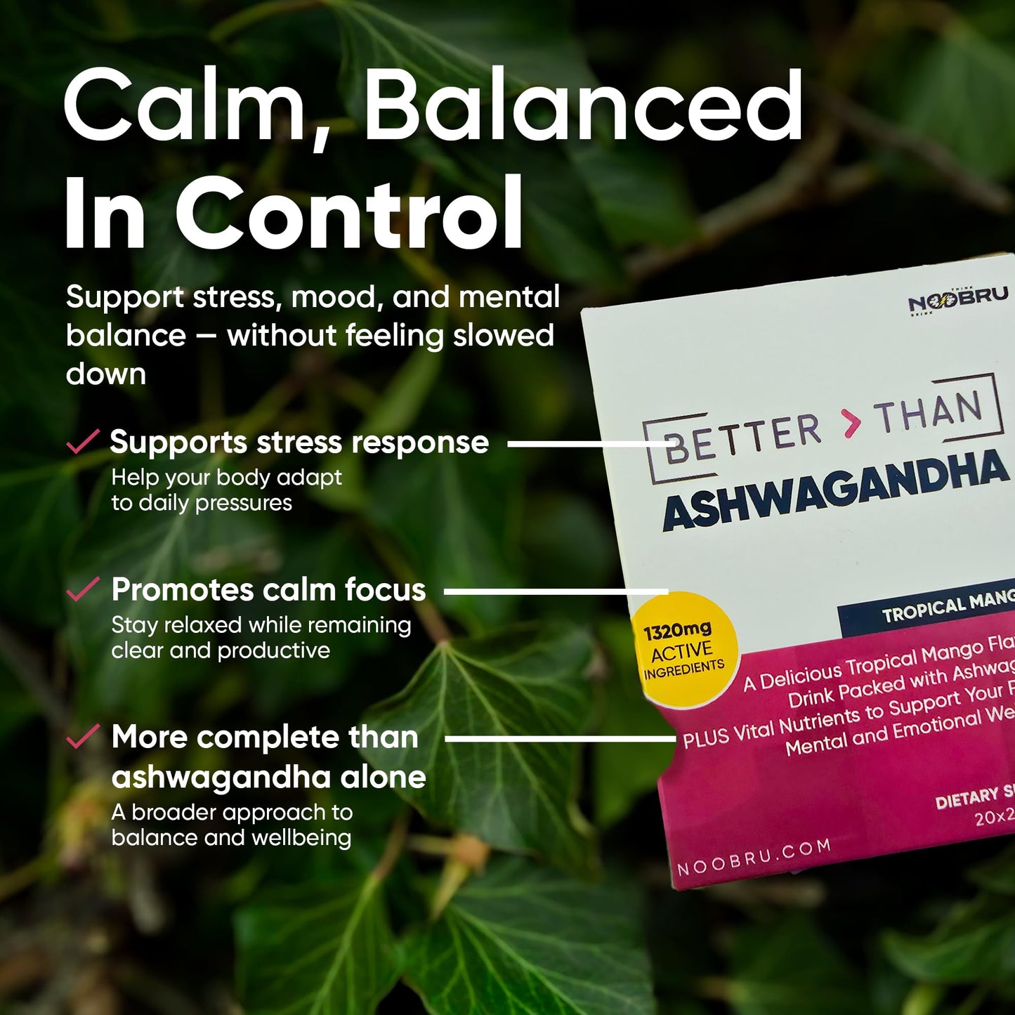 Noobru Better Than Ashwagandha Powder 1.41 Ounce
