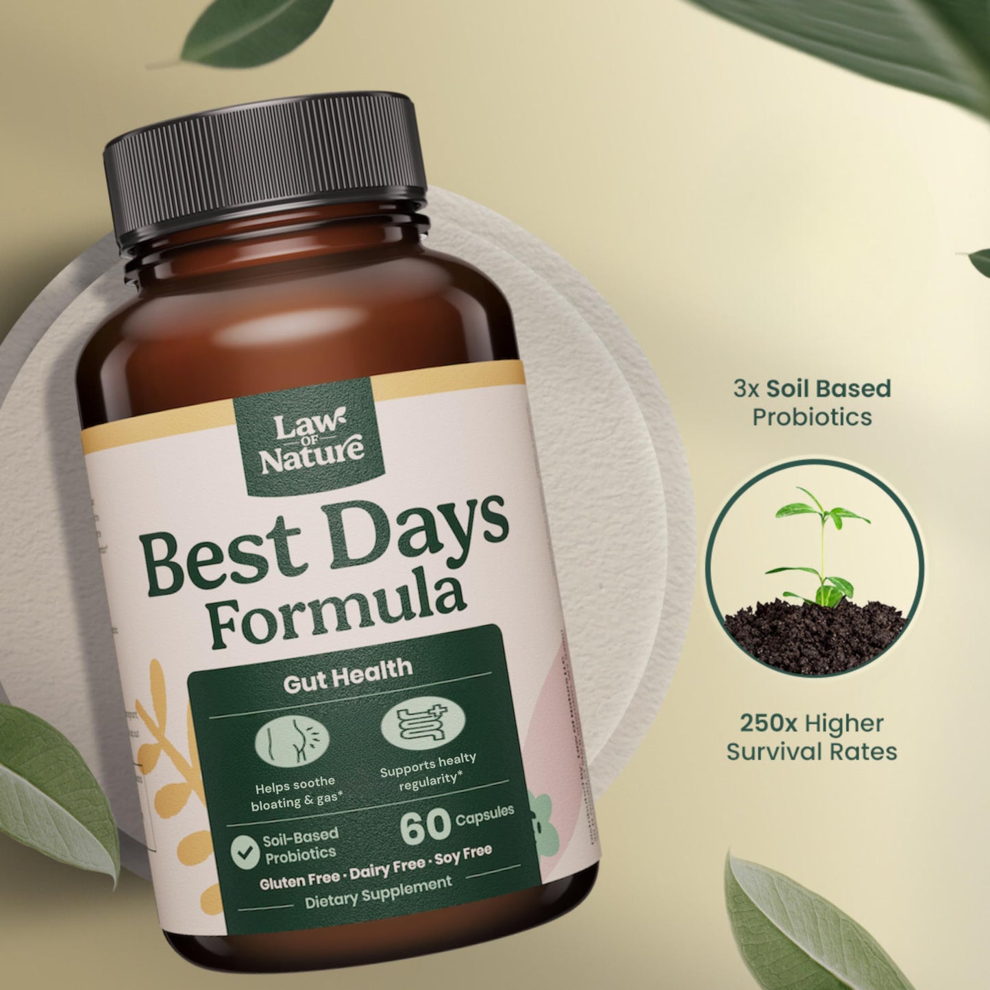 Law Of Nature Best Days Formula Capsule 60 Count
