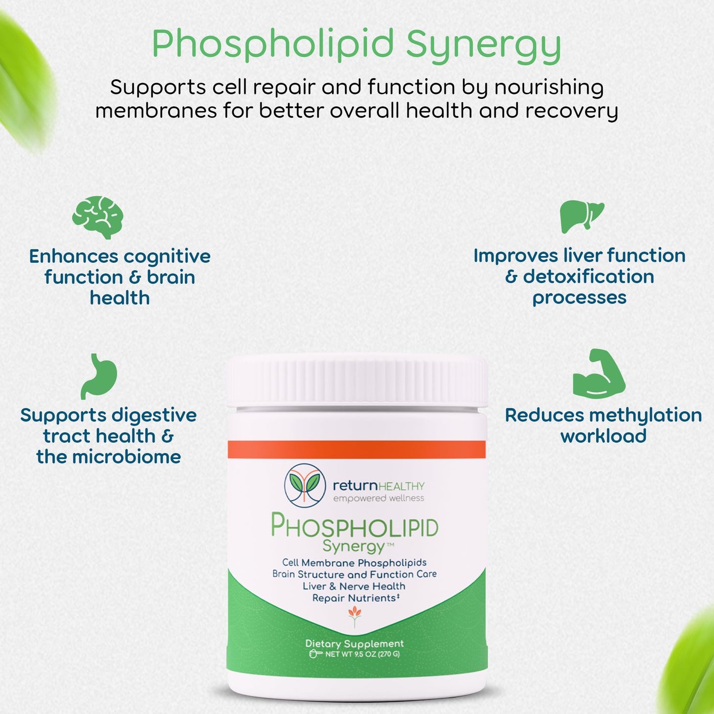 Return Healthy Cell Stabilization Kit - 5-in-1 Mitochondrial Supplements for Cellular Vitality, Gut Health & Brain Support - Health Essentials, Wellness Protocol - Non-GMO, Plant-Based, USA-Made Capsules, 5-Count