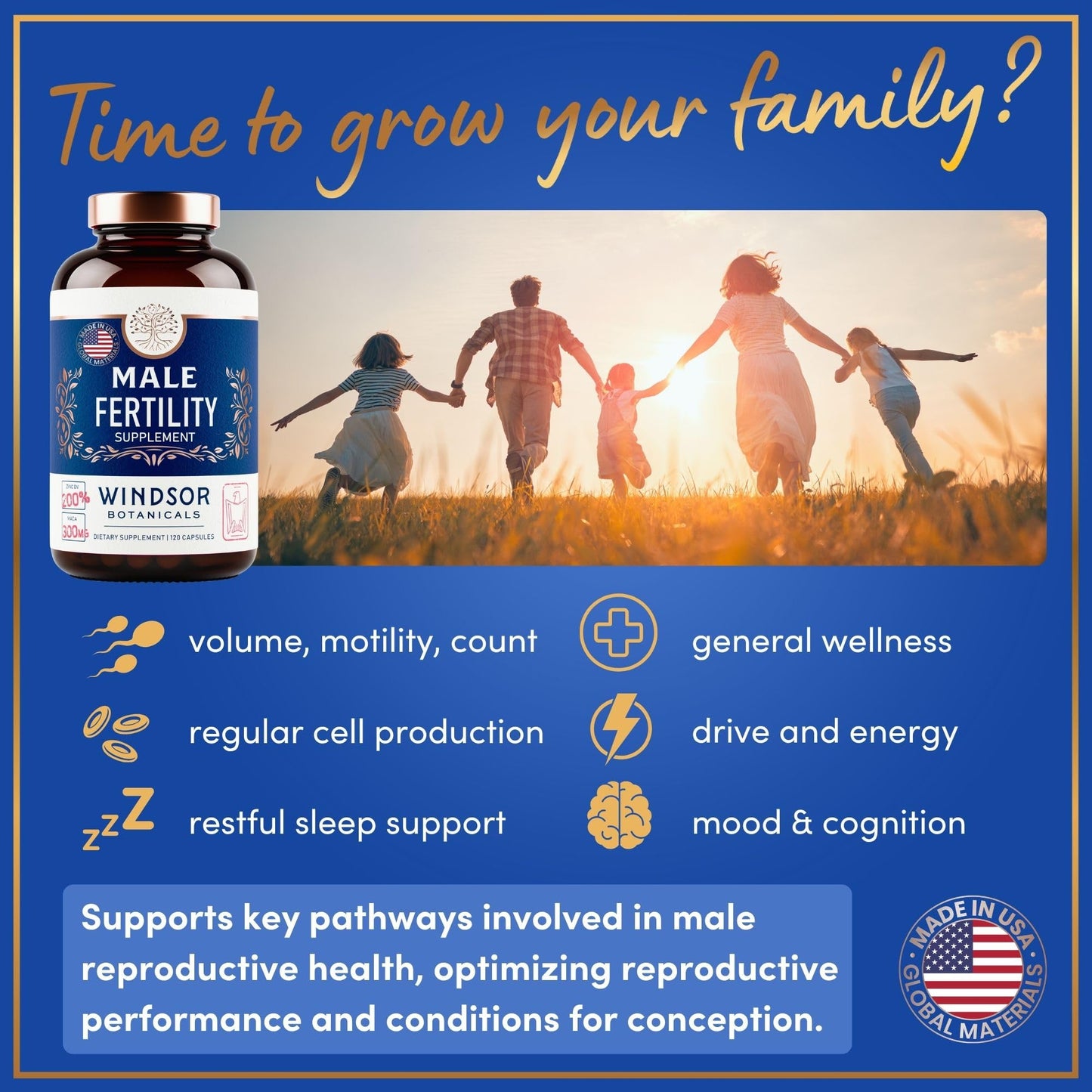 Windsor Botanicals Fertility Supplements for Men Prenatal Vitamins 240 Capsules