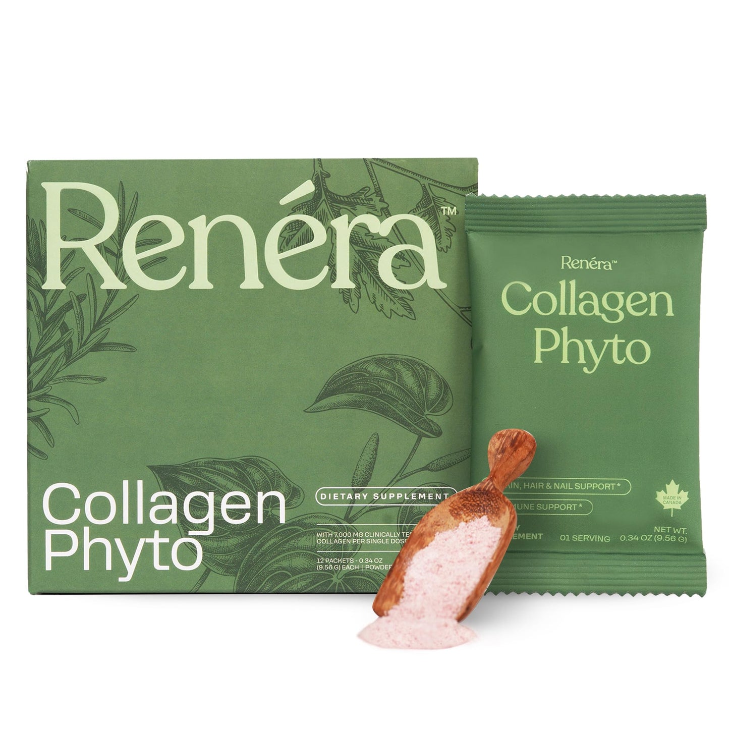 Renéra Collagen Phyto Powder with Marine Collagen Peptides & Postbiotic, Clinically Studied Ingredients for Healthy Skin, Hair, Nails and Immunity, Healthy Aging Support, 12 Packets