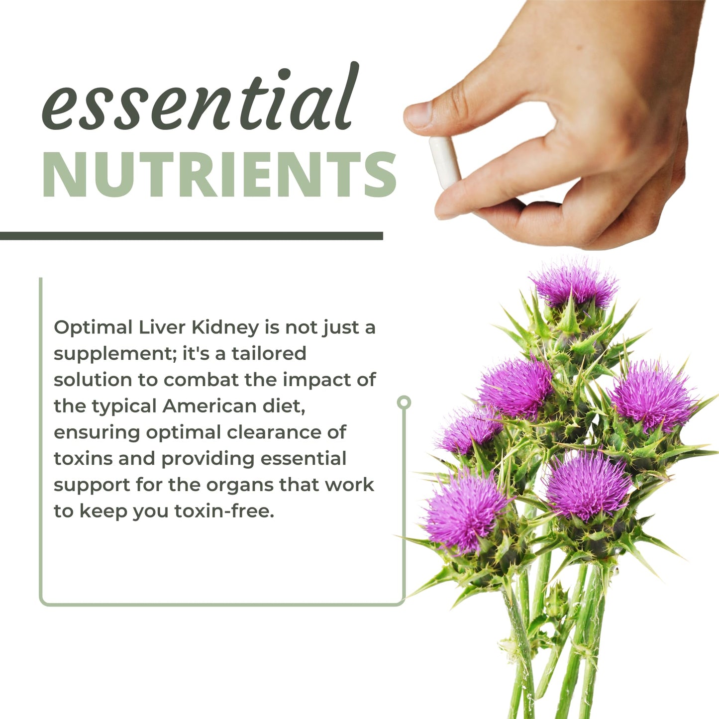 Optimal Health Systems Liver/Kidney Detox & Cleanse 90 Capsules