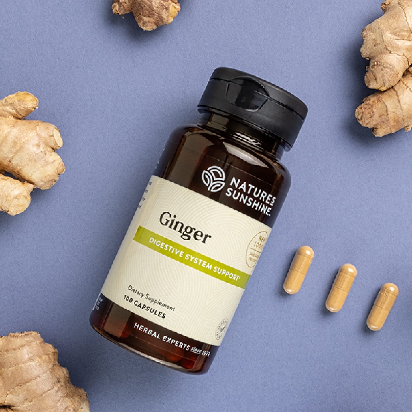 Nature's Sunshine Ginger Capsules 100