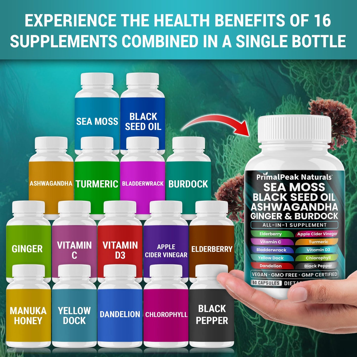 PrimalPeak Naturals Sea Moss Black Seed Oil Ashwagandha Ginger Burdock Bladderwrack Turmeric & Vitamin C Vitamin D3 with ACV Elderberry Chlorophyll Dandelion Yellow Dock Vegan Capsules - 60 Count