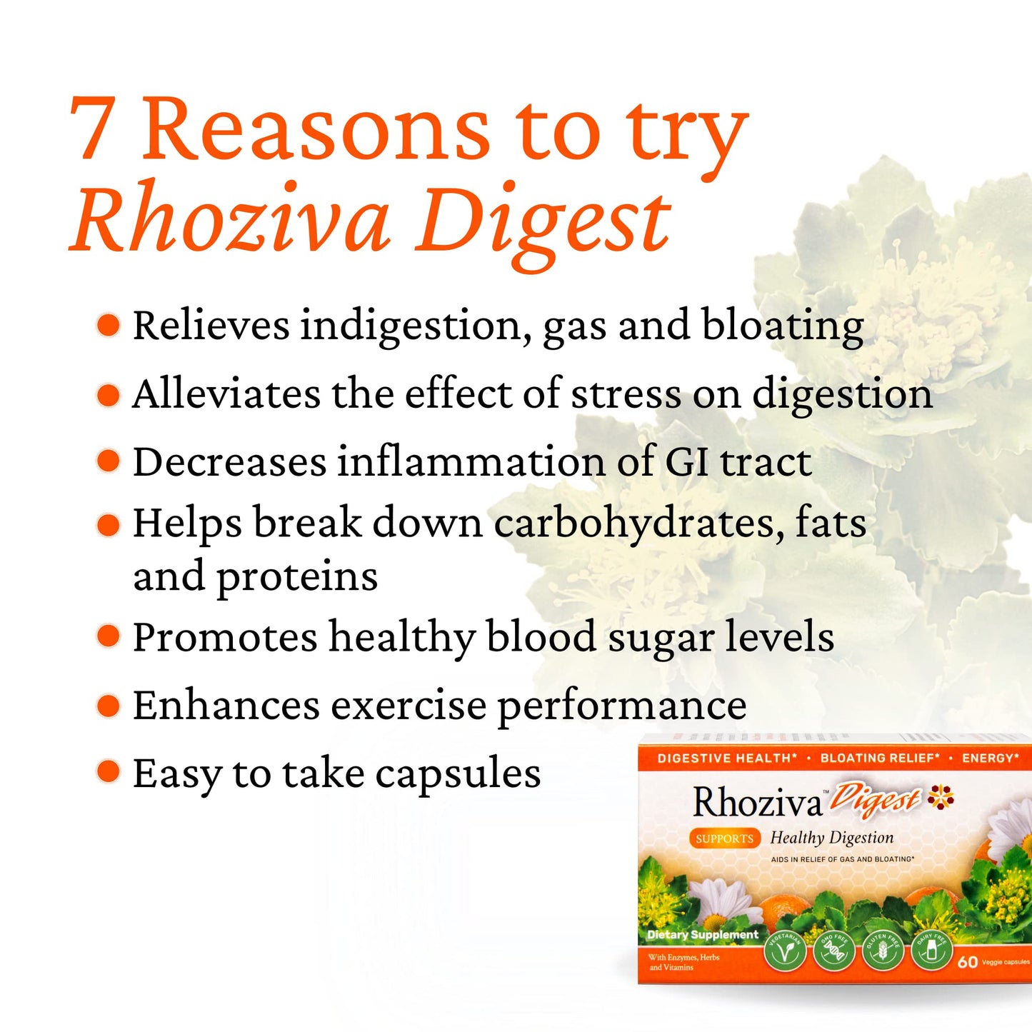 Rhoziva Digest Gut Health Supplement with Digestive Enzymes Capsules 60