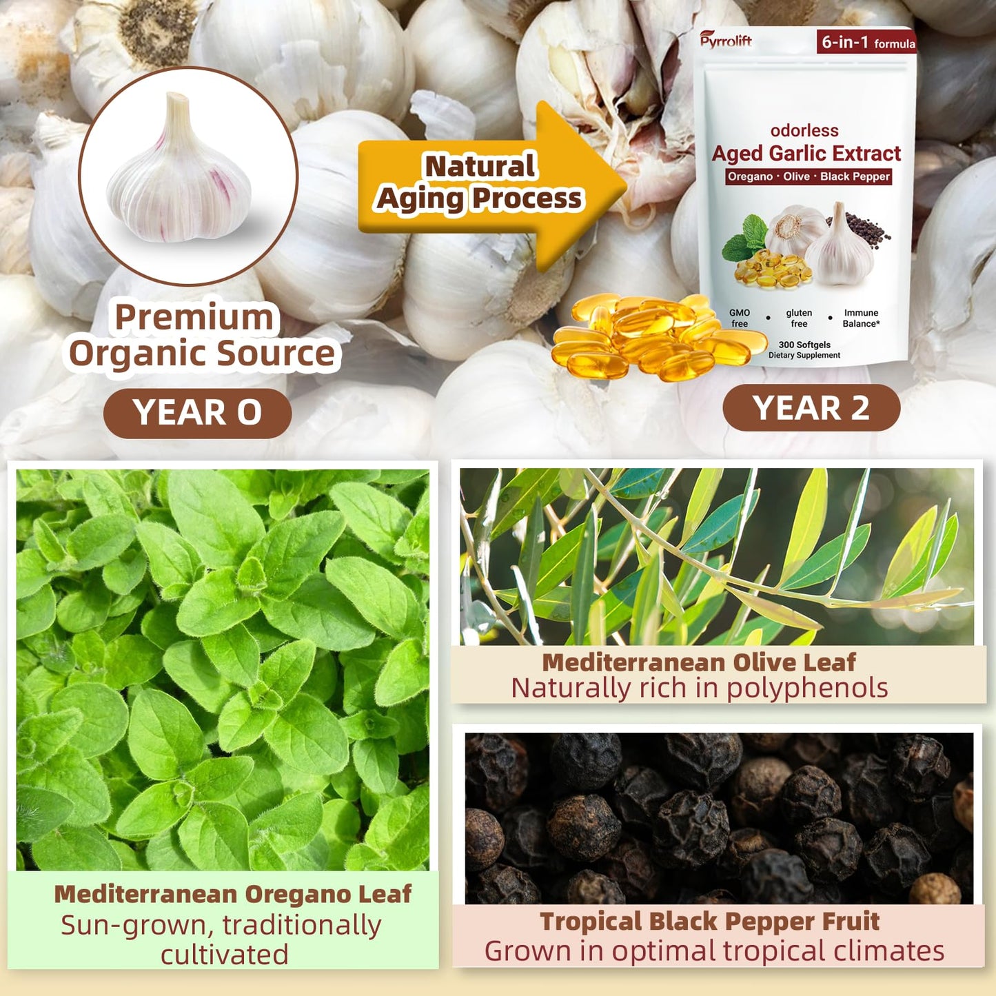 Pyrrolift Aged Garlic Extract with Vitamin D, Zinc, Oregano & Olive Leaf, 300 Capsules