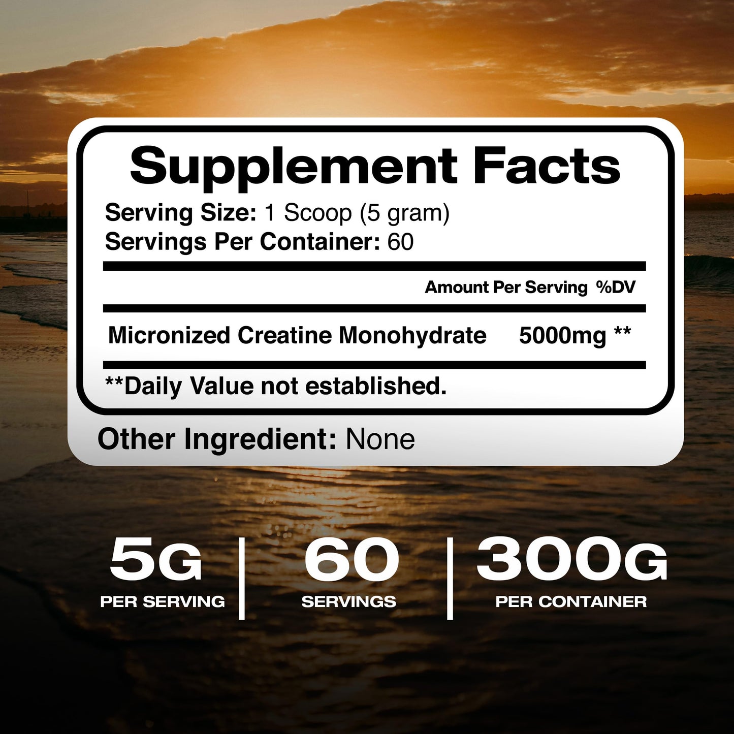 American Standard Supplements Pure Creatine Monohydrate Micronized Powder 60 Servings