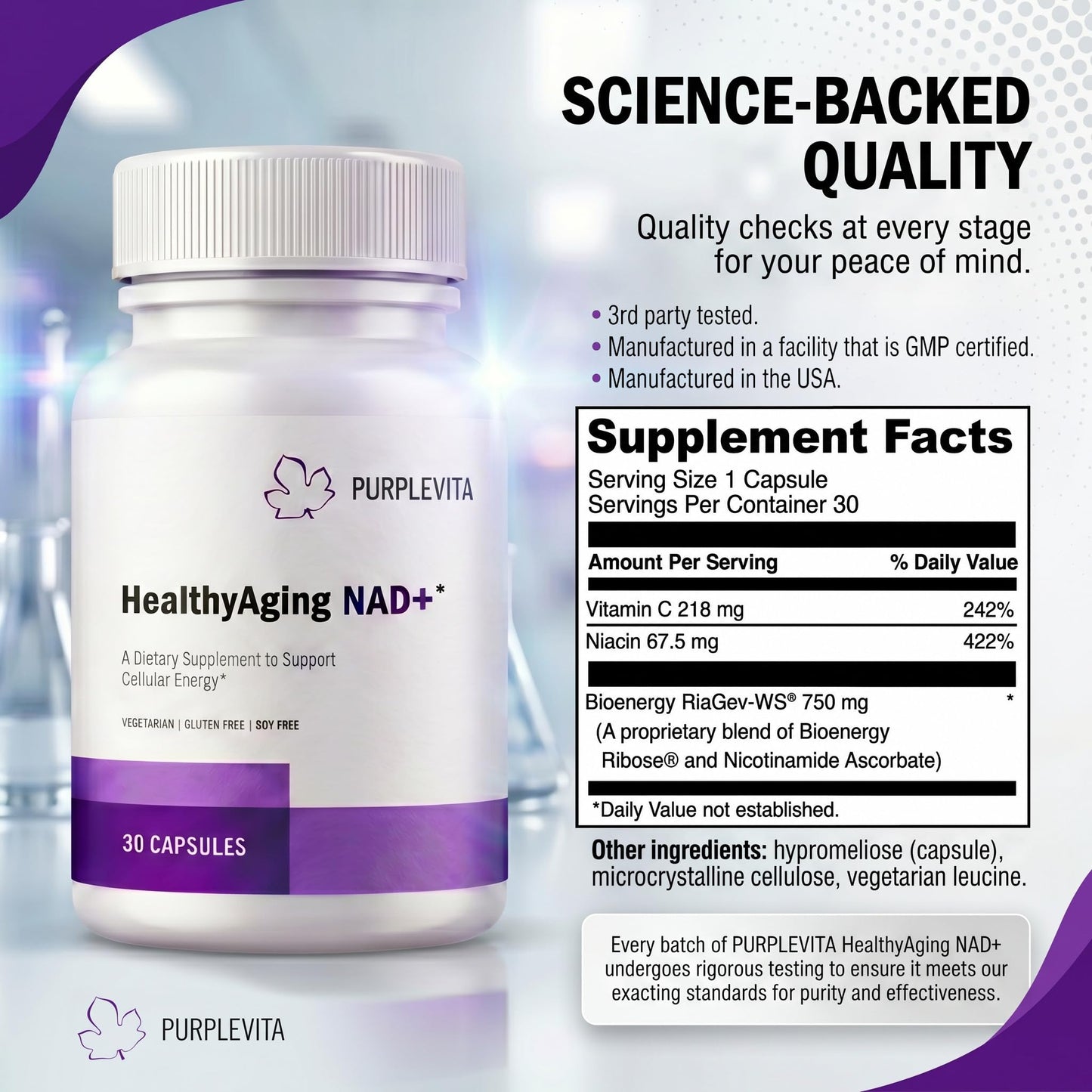 PURPLEVITA NAD + Plus Supplement Healthy Aging with RiaGev-WS, Vitamin C & Niacin, Cellular Energy, Metabolism and Stress Support, 30 Capsules