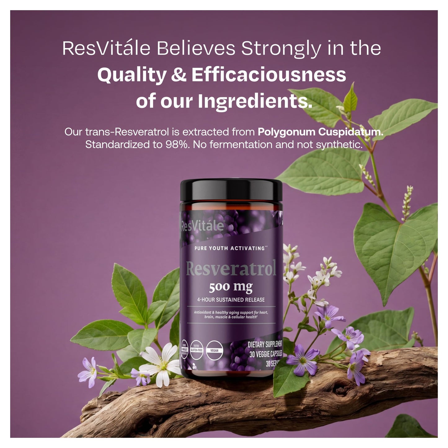 ResVitale Resveratrol 500 mg Capsules 30