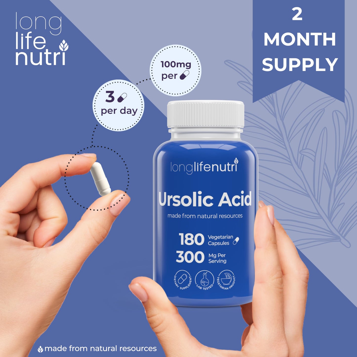 LongLifeNutri Ursolic Acid 300mg - Sourced from Rosemary Leaf Extract, 180 Capsules