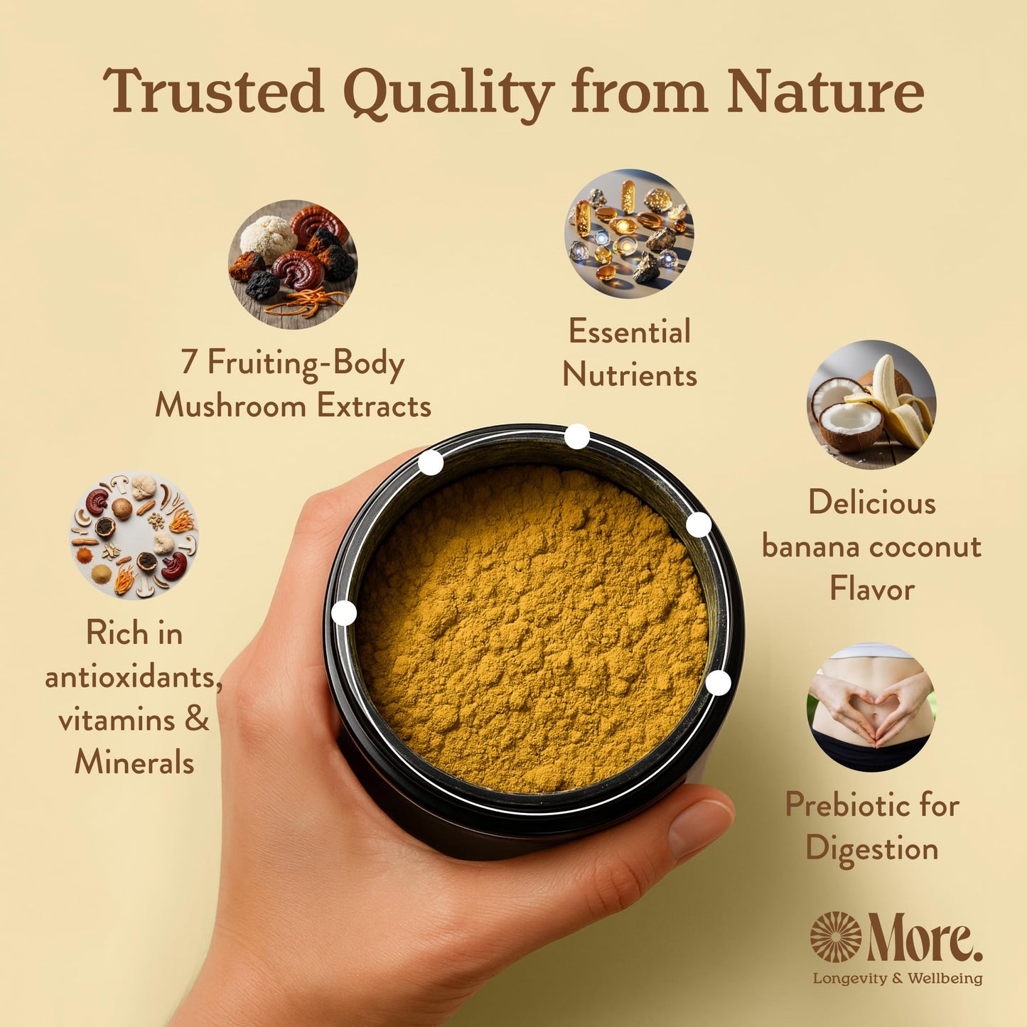 More. Longevity & Wellbeing Premium Mushroom Supplement Powder Coconut Banana with Natural Caffeine – 7 Functional Mushrooms Extracts (Lion’s Mane, Reishi, Chaga & Ashwagandha) for Energy & Focus, 8.46 Ounce
