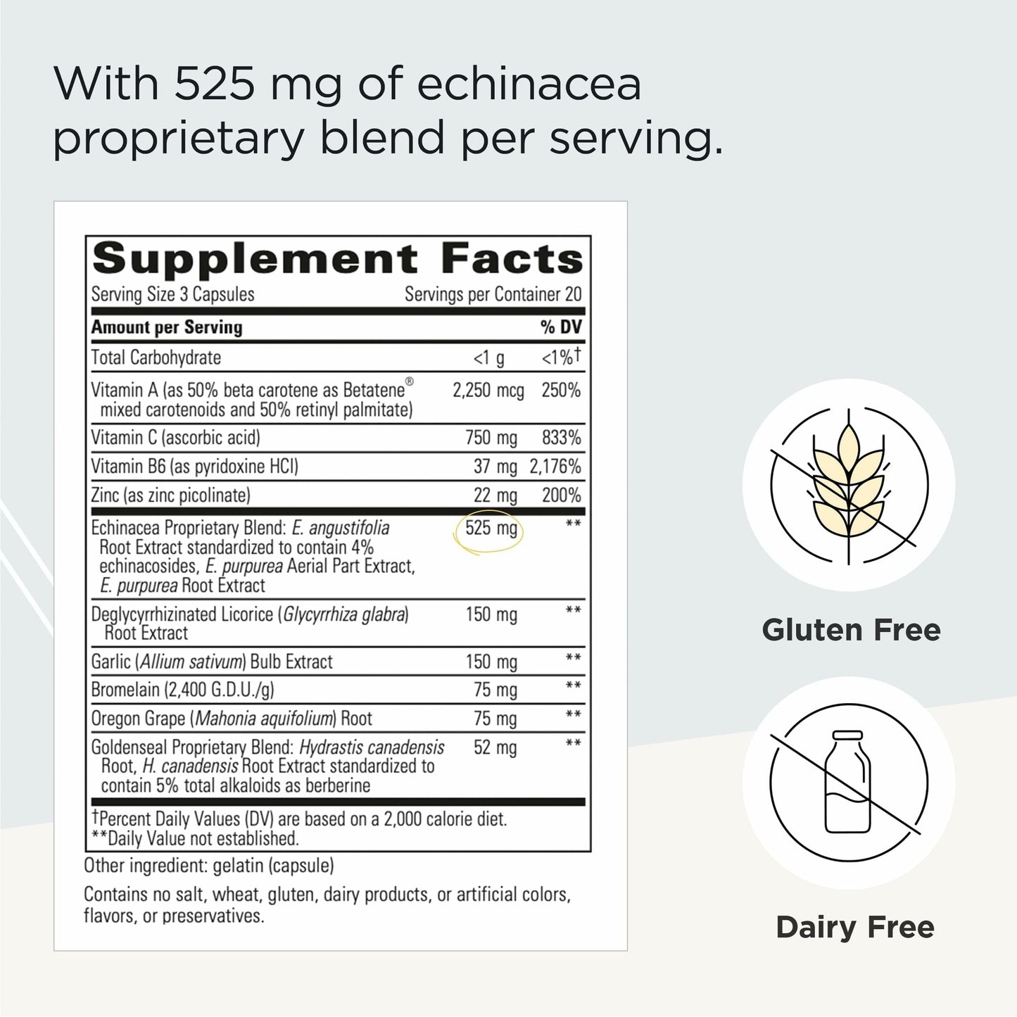 Integrative Therapeutics EHB Immune Support Capsule 60 Count