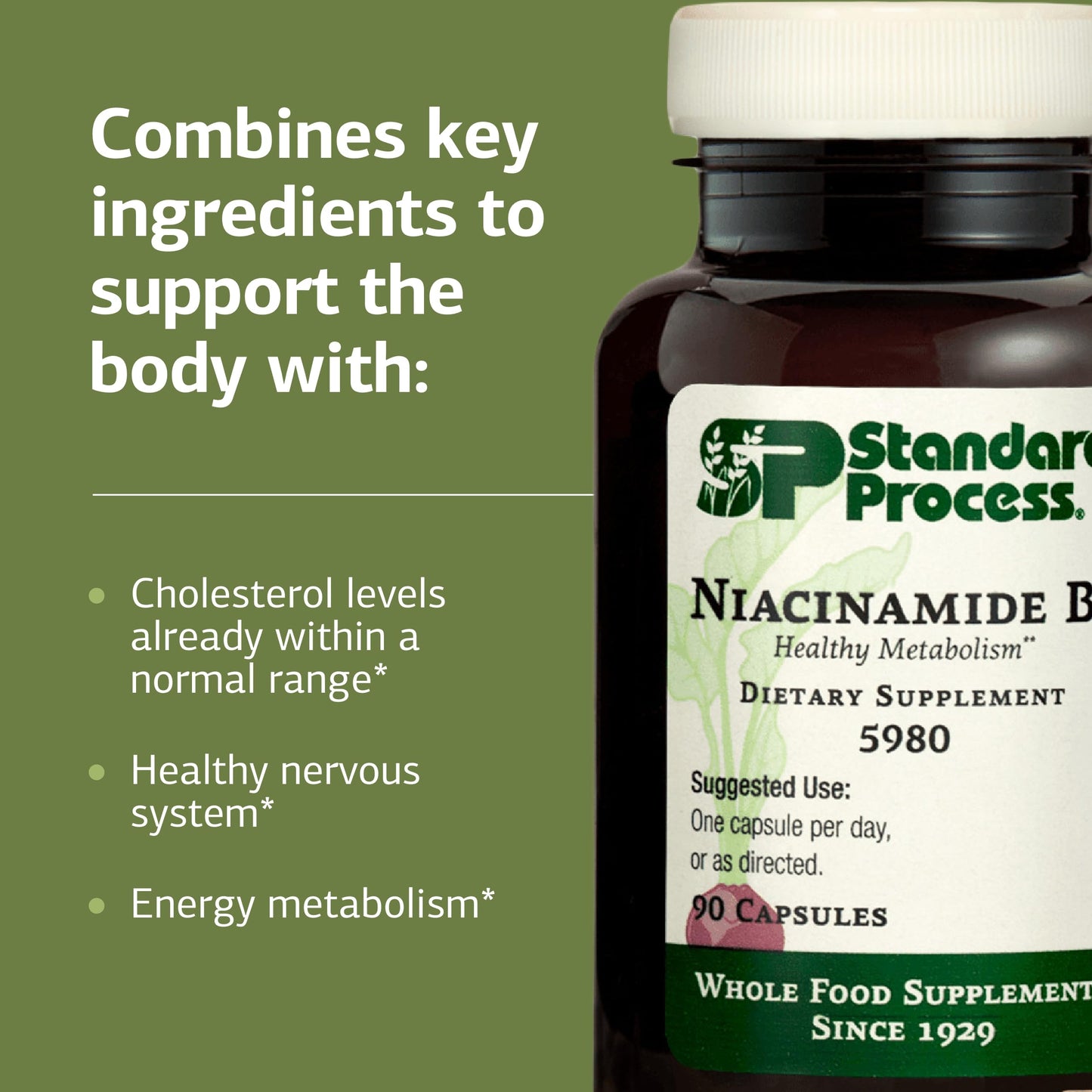 Standard Process Inc. Niacinamide B6 Capsules 90