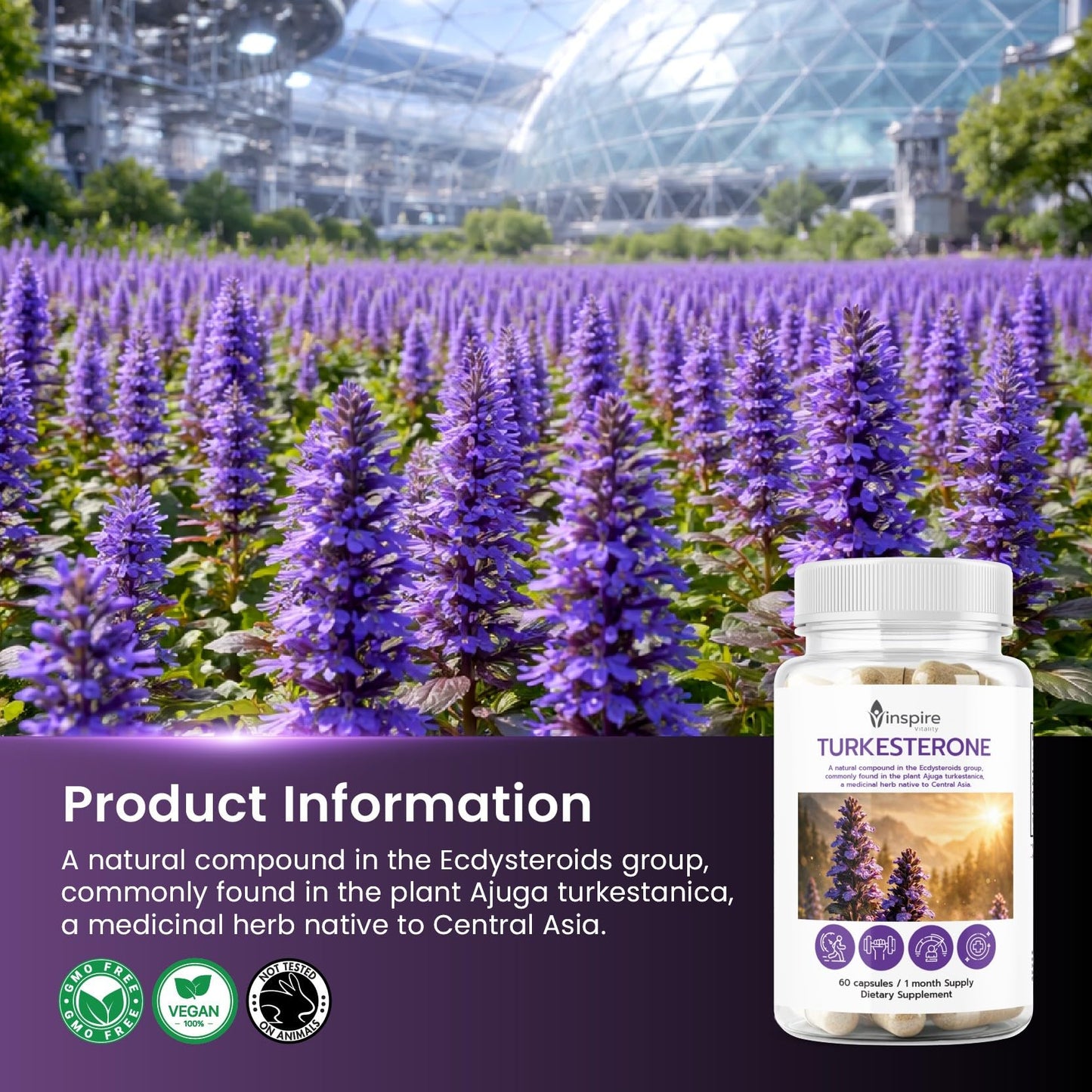 Inspire Vitality LLC Turkesterone Capsules Pure 500mg Natural Ajuga Turkestanica Extract Ecydysterone, Non-GMO, 60 Capsules