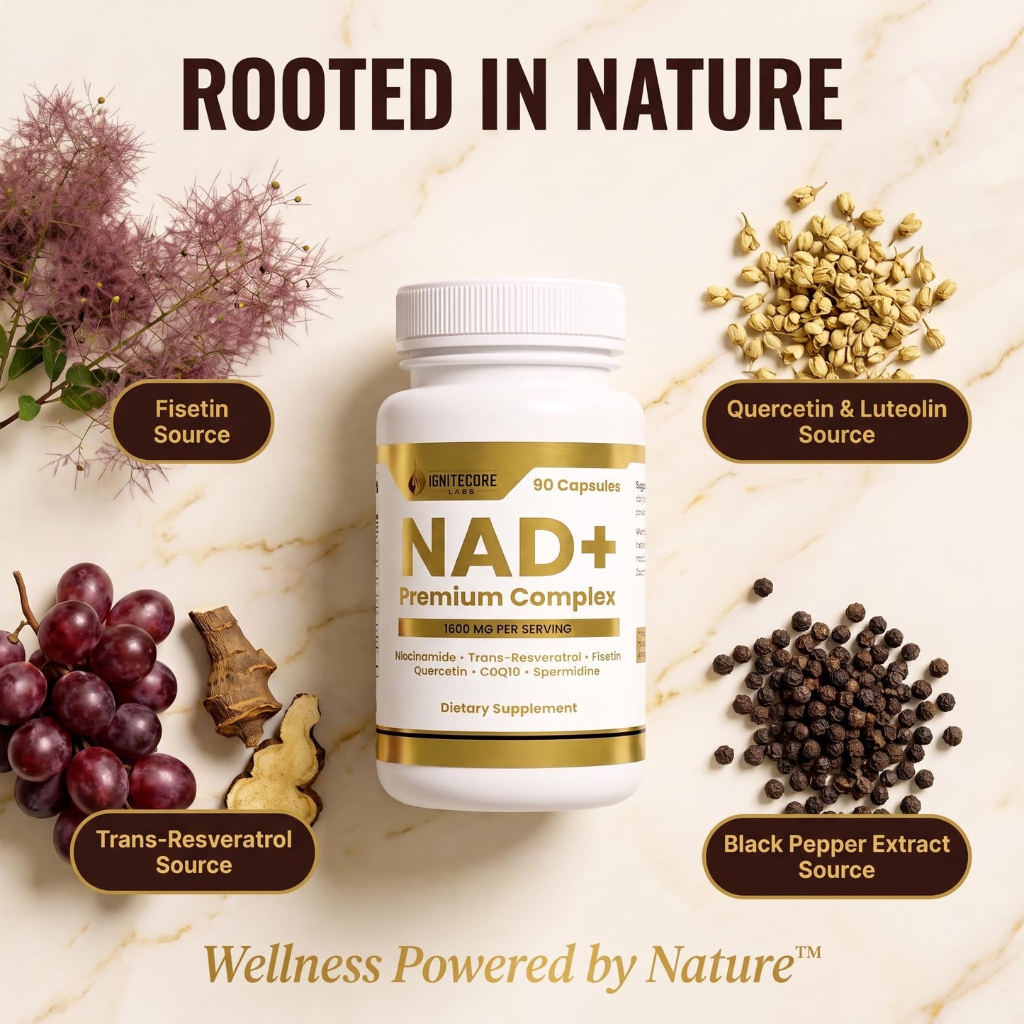 IgniteCore Labs NAD+ Premium Complex 1600mg 90 Capsules
