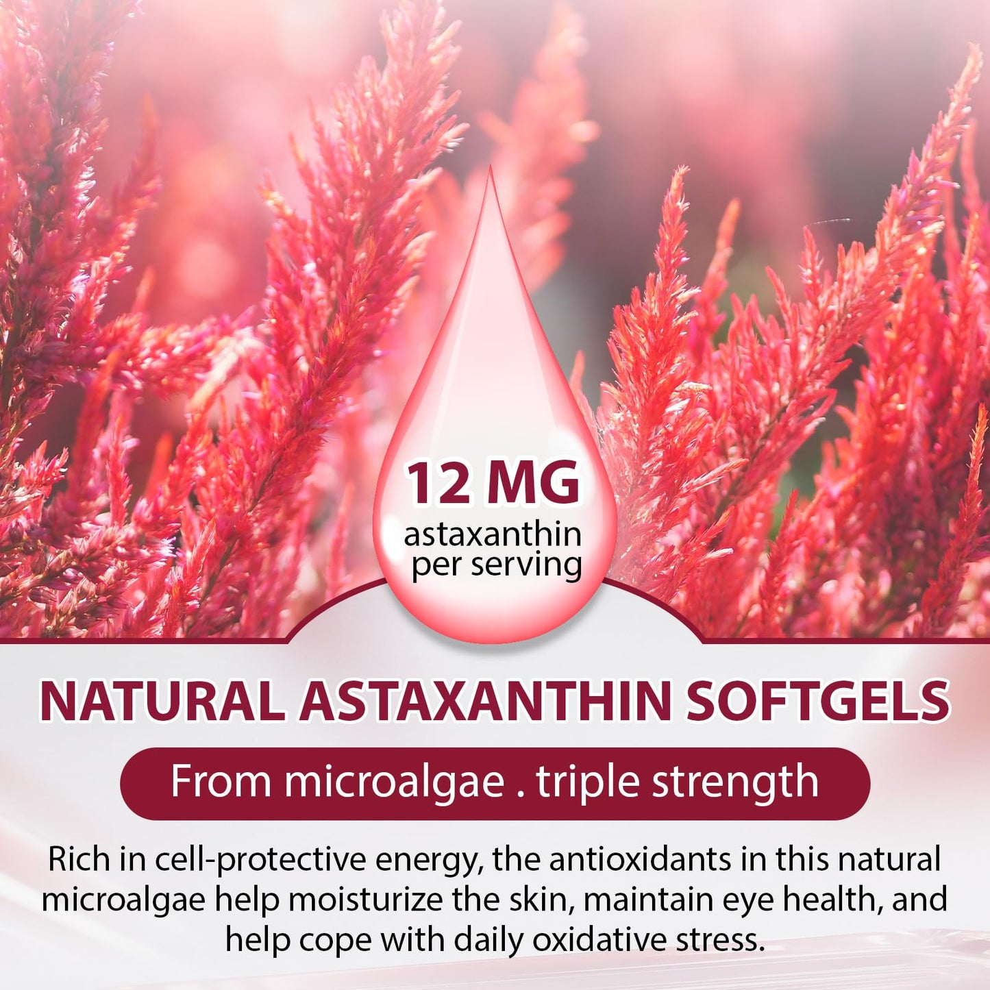Echoes of the spring Astaxanthin 12mg Softgel 120 Count