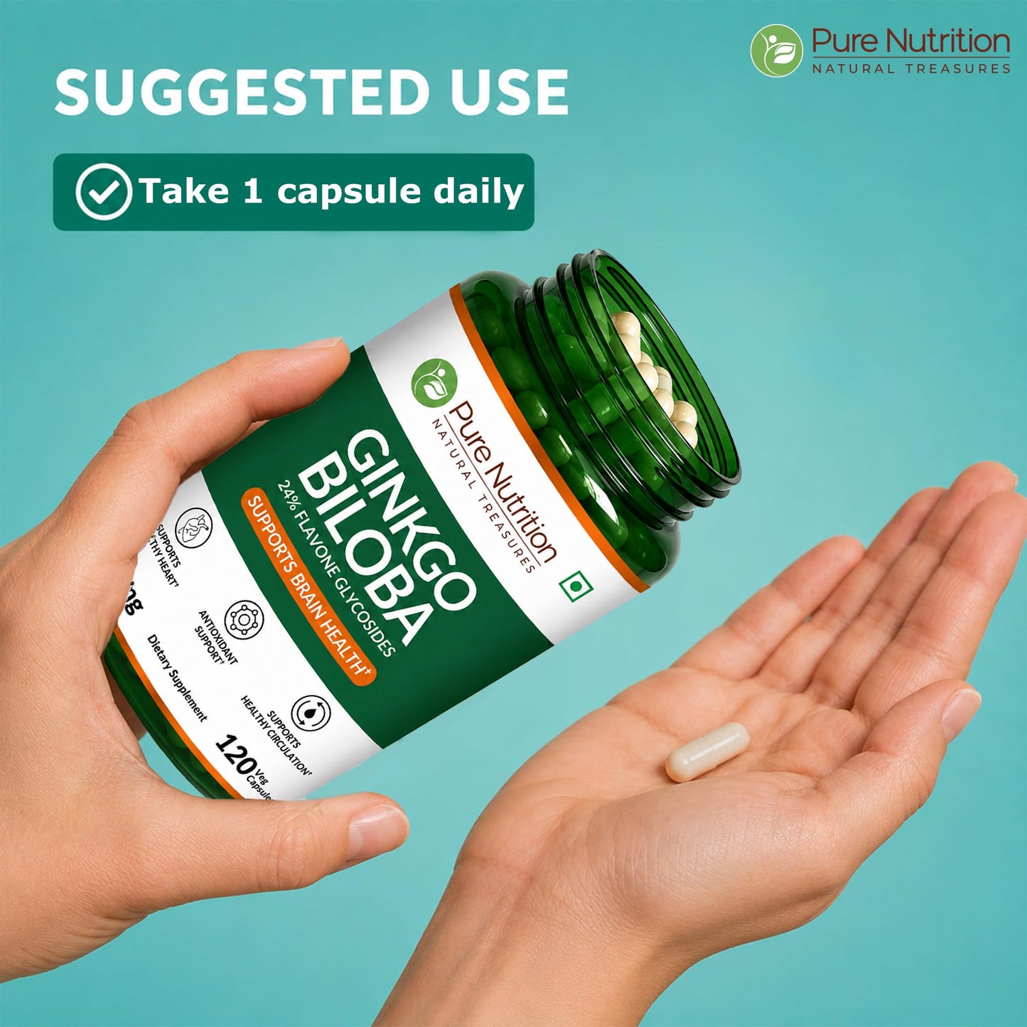 Pure Nutrition Natural Treasures Ginkgo Biloba 120 mg Capsules, 120 Count