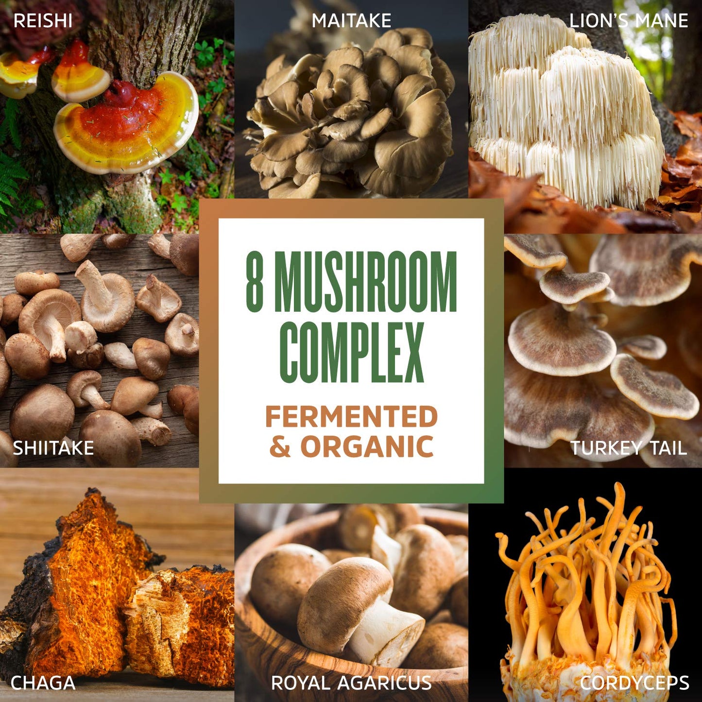 ZHOU Mushroom 8-Plex Mushroom Supplement Powder 2.14 oz