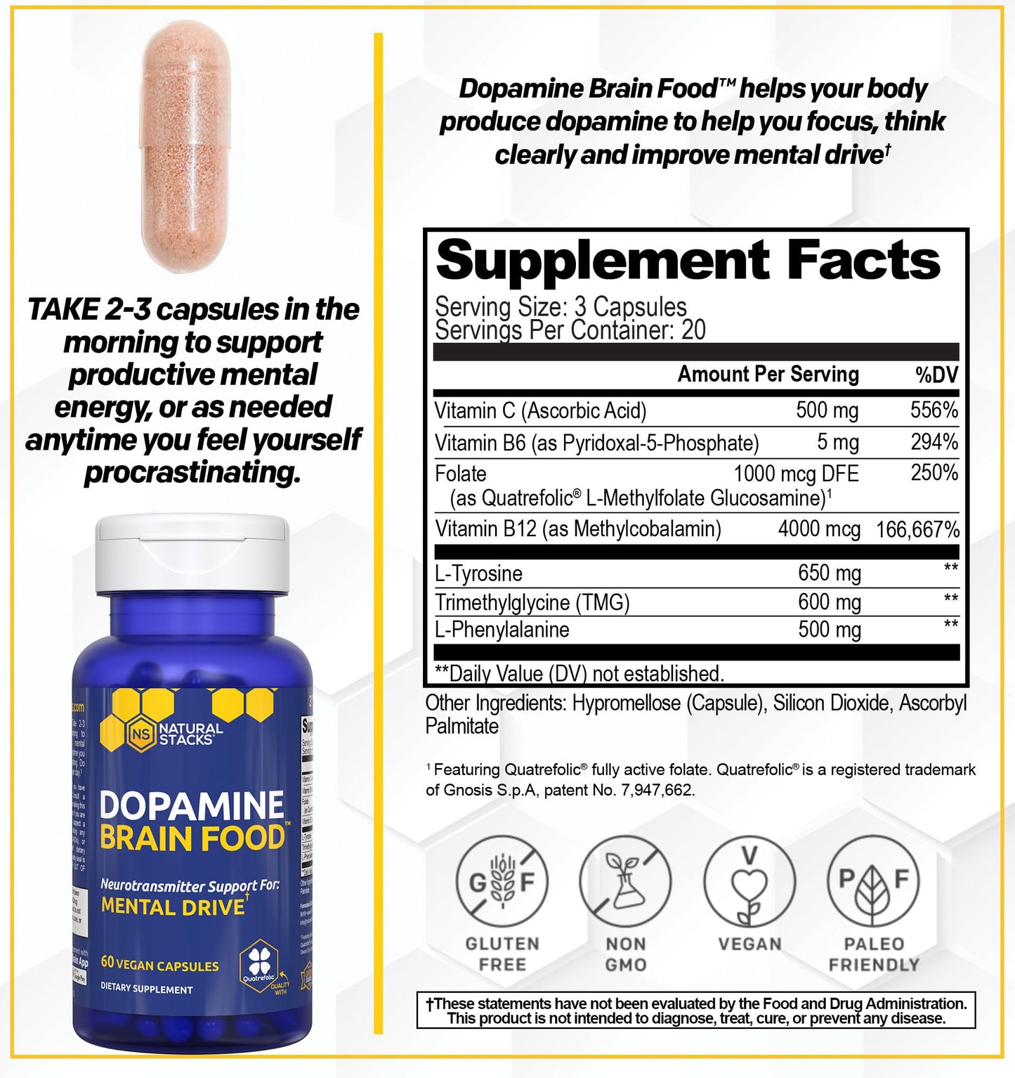 Natural Stacks Dopamine Brain Food + Magtech Magnesium Supplement Bundle Capsules 240